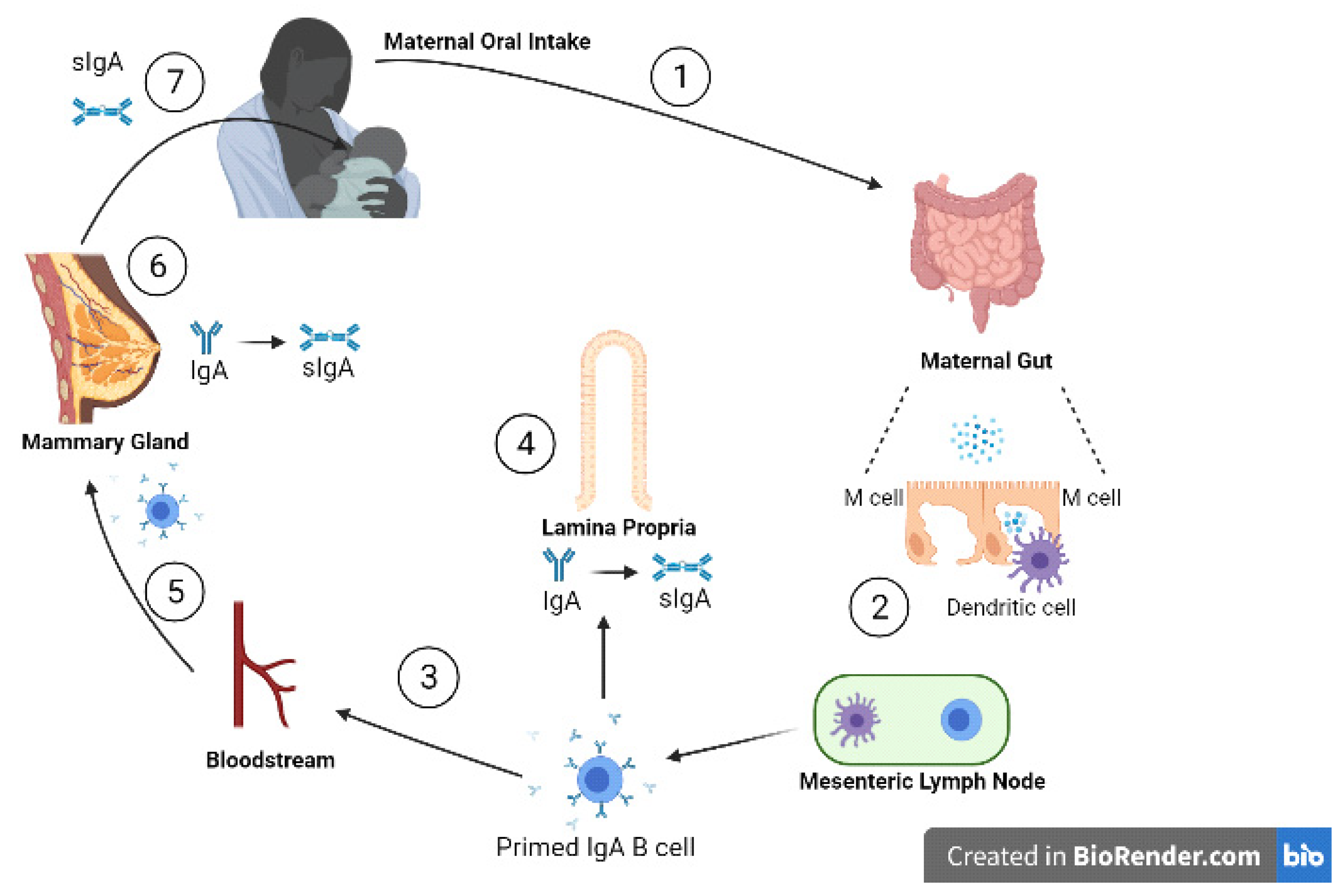 Microorganisms 09 00715 g002