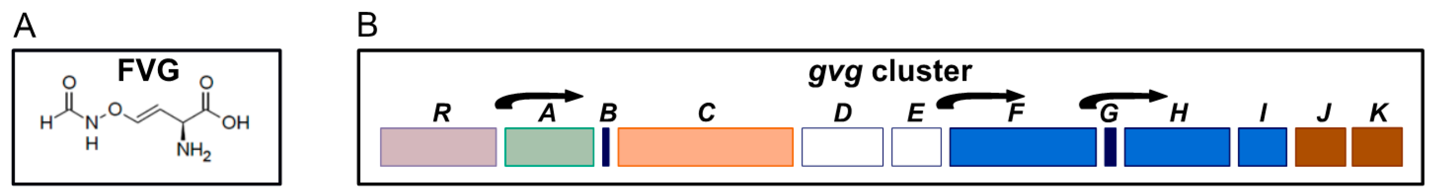 Microorganisms 09 00717 g001 Microorganisms 09 00717 g001