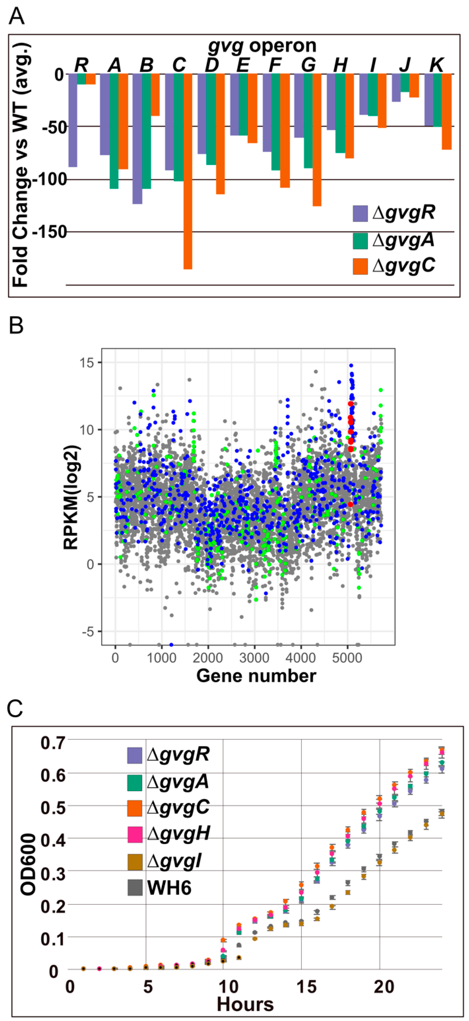 Microorganisms 09 00717 g003 Microorganisms 09 00717 g003