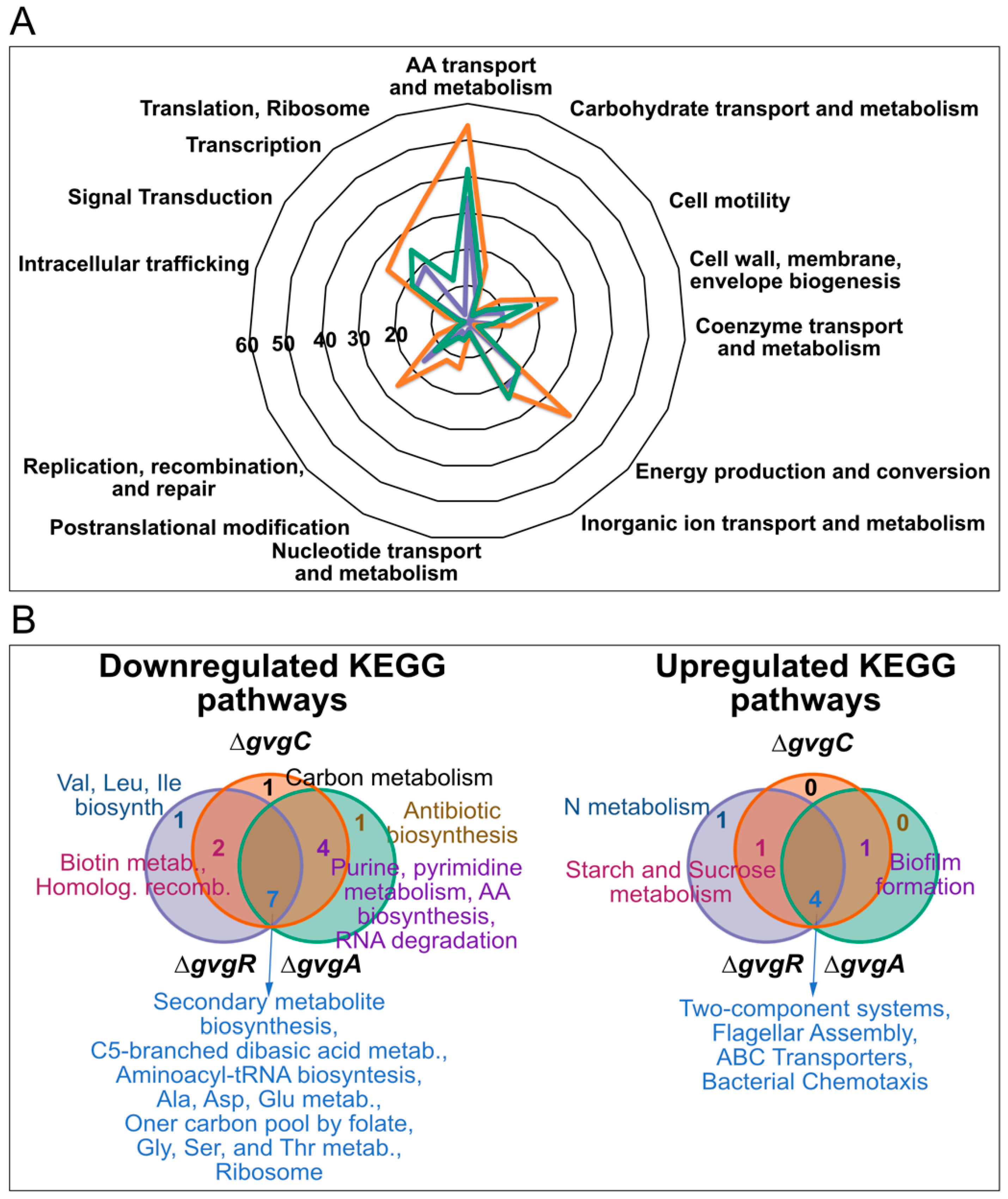Microorganisms 09 00717 g004 Microorganisms 09 00717 g004