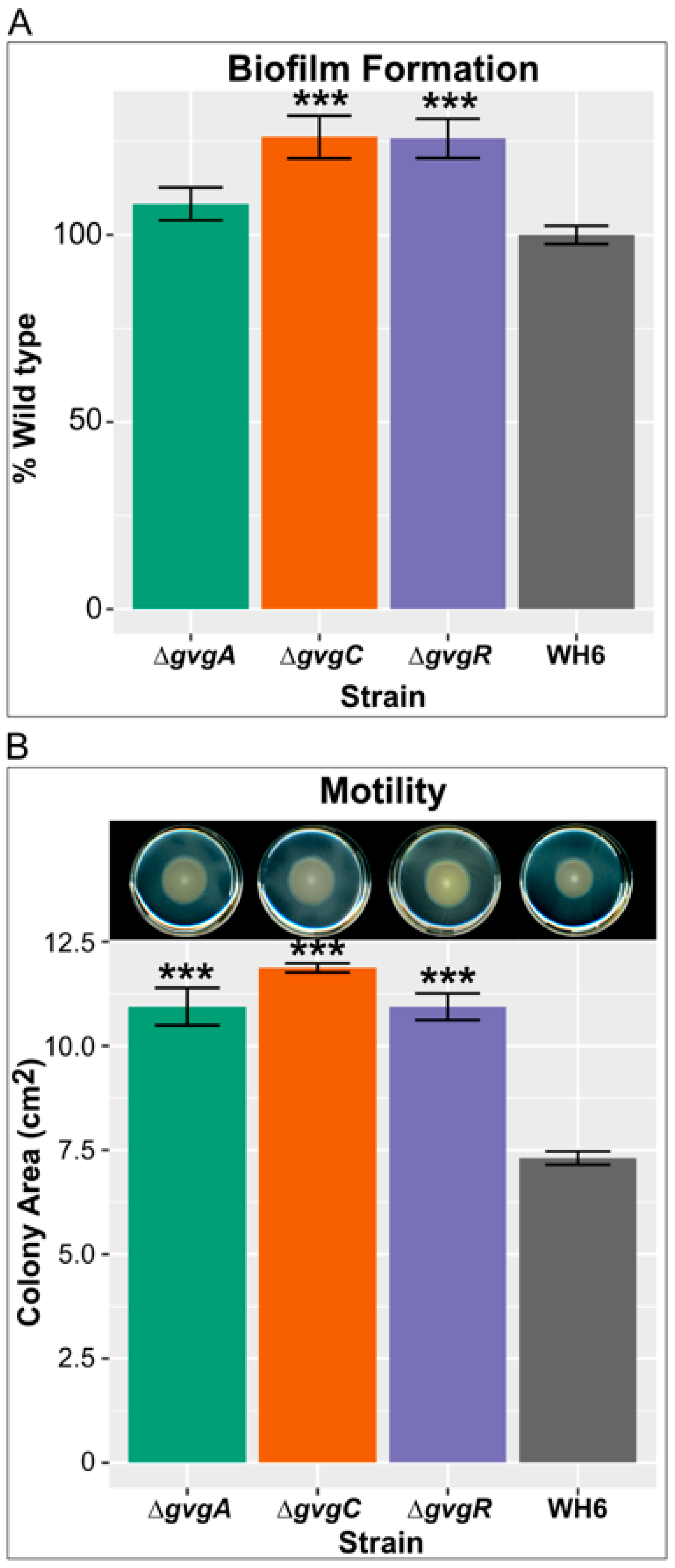 Microorganisms 09 00717 g005 Microorganisms 09 00717 g005