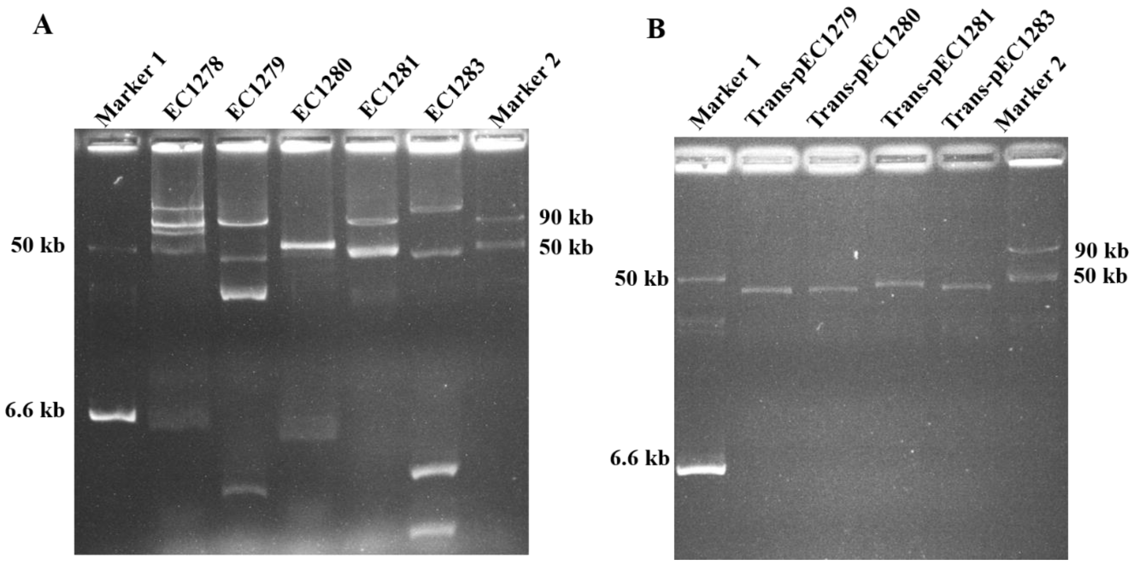Microorganisms 09 00722 g003 Microorganisms 09 00722 g003