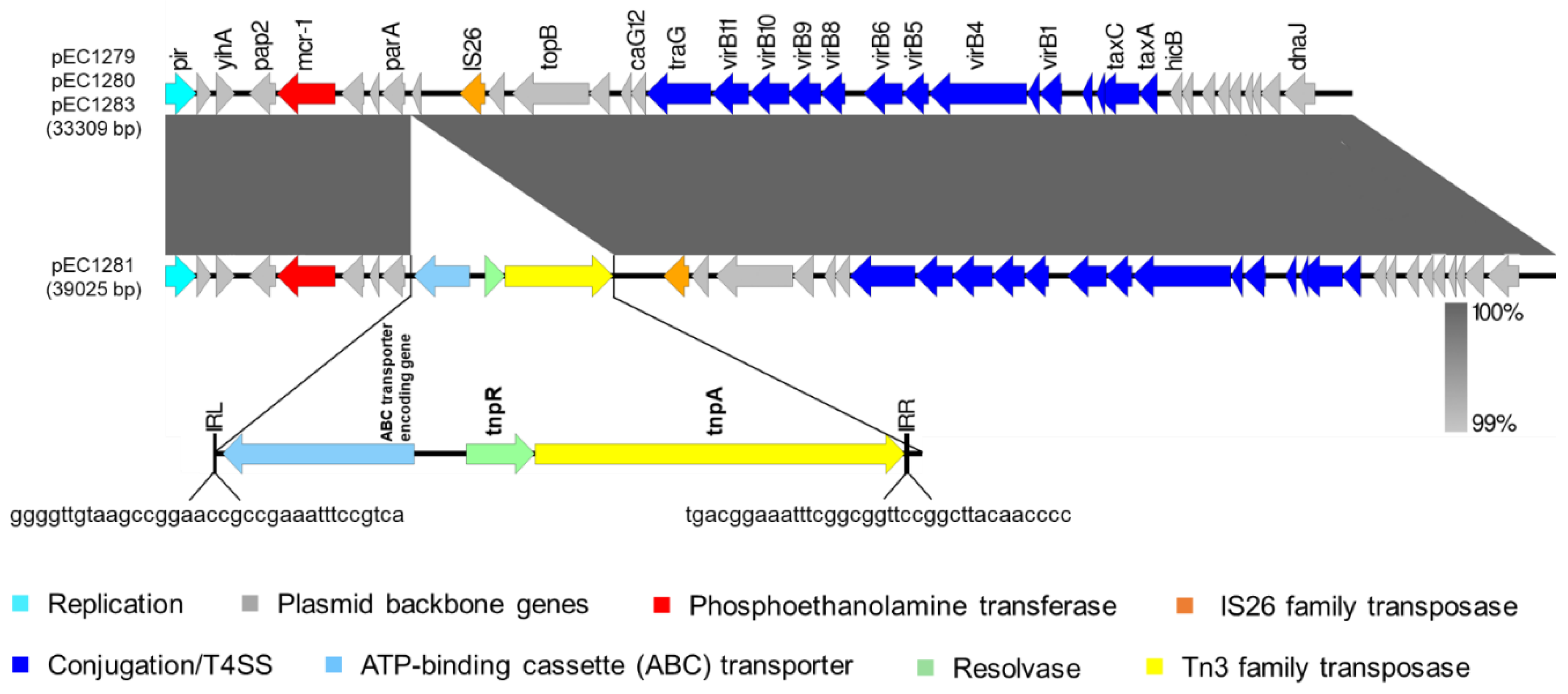 Microorganisms 09 00722 g004 Microorganisms 09 00722 g004