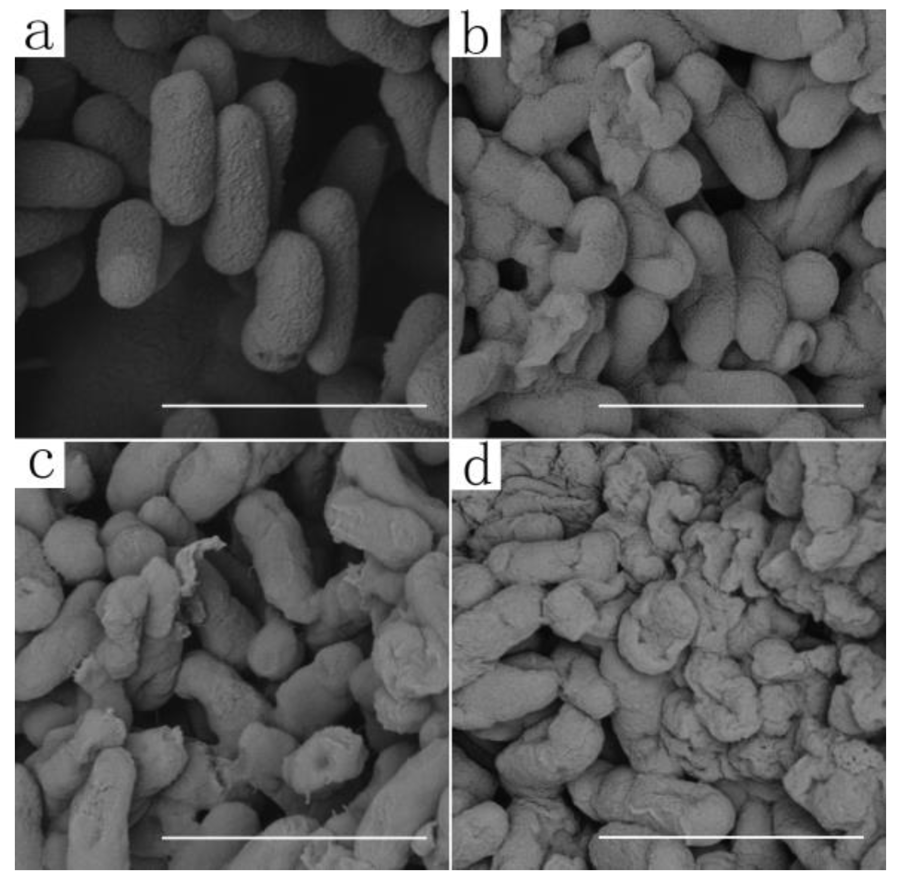 Microorganisms 09 00724 g003 Microorganisms 09 00724 g003