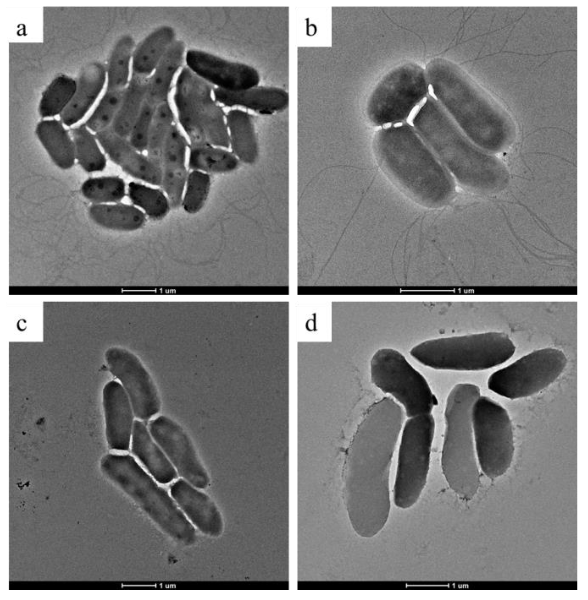 Microorganisms 09 00724 g004 Microorganisms 09 00724 g004
