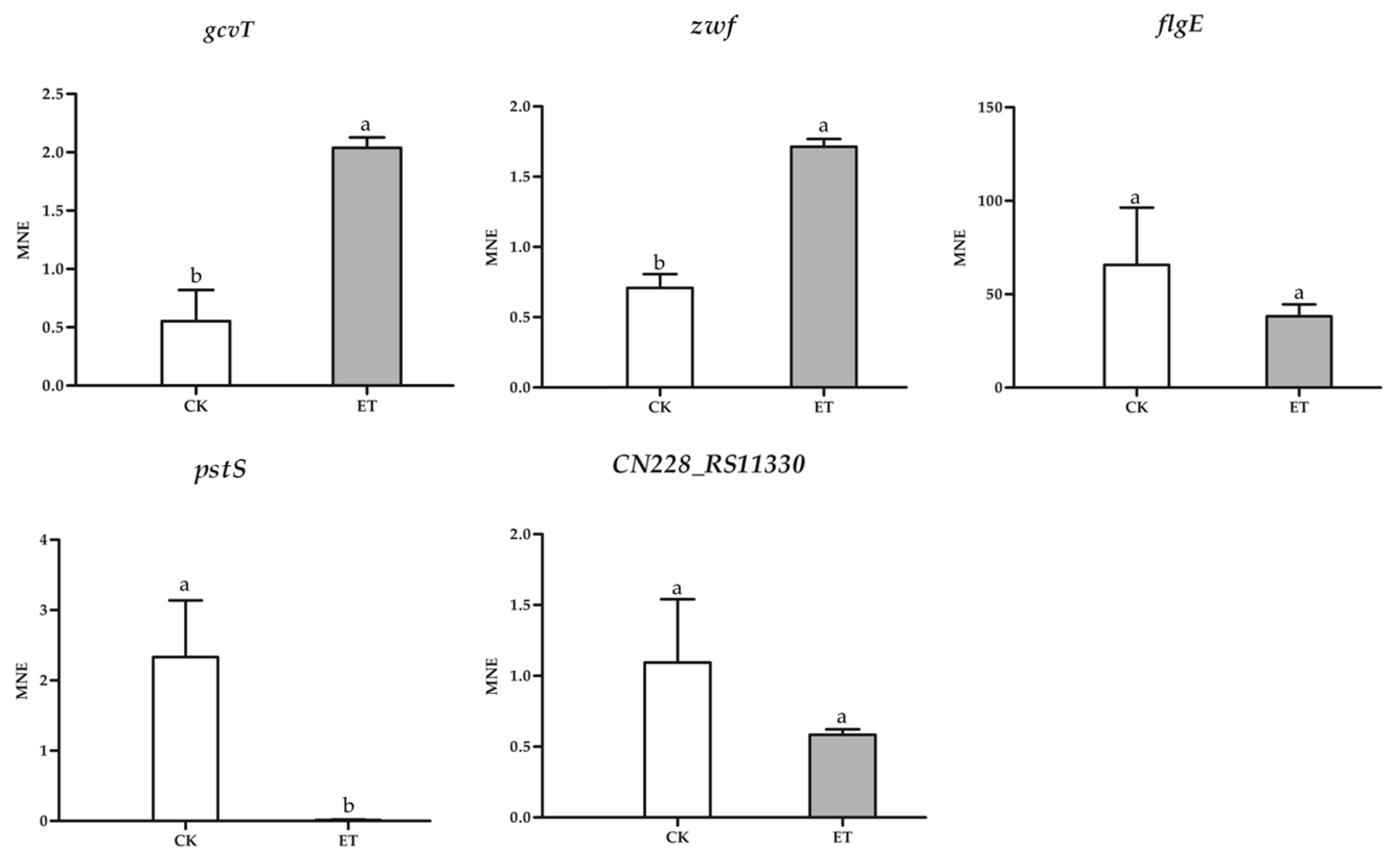 Microorganisms 09 00724 g010 Microorganisms 09 00724 g010