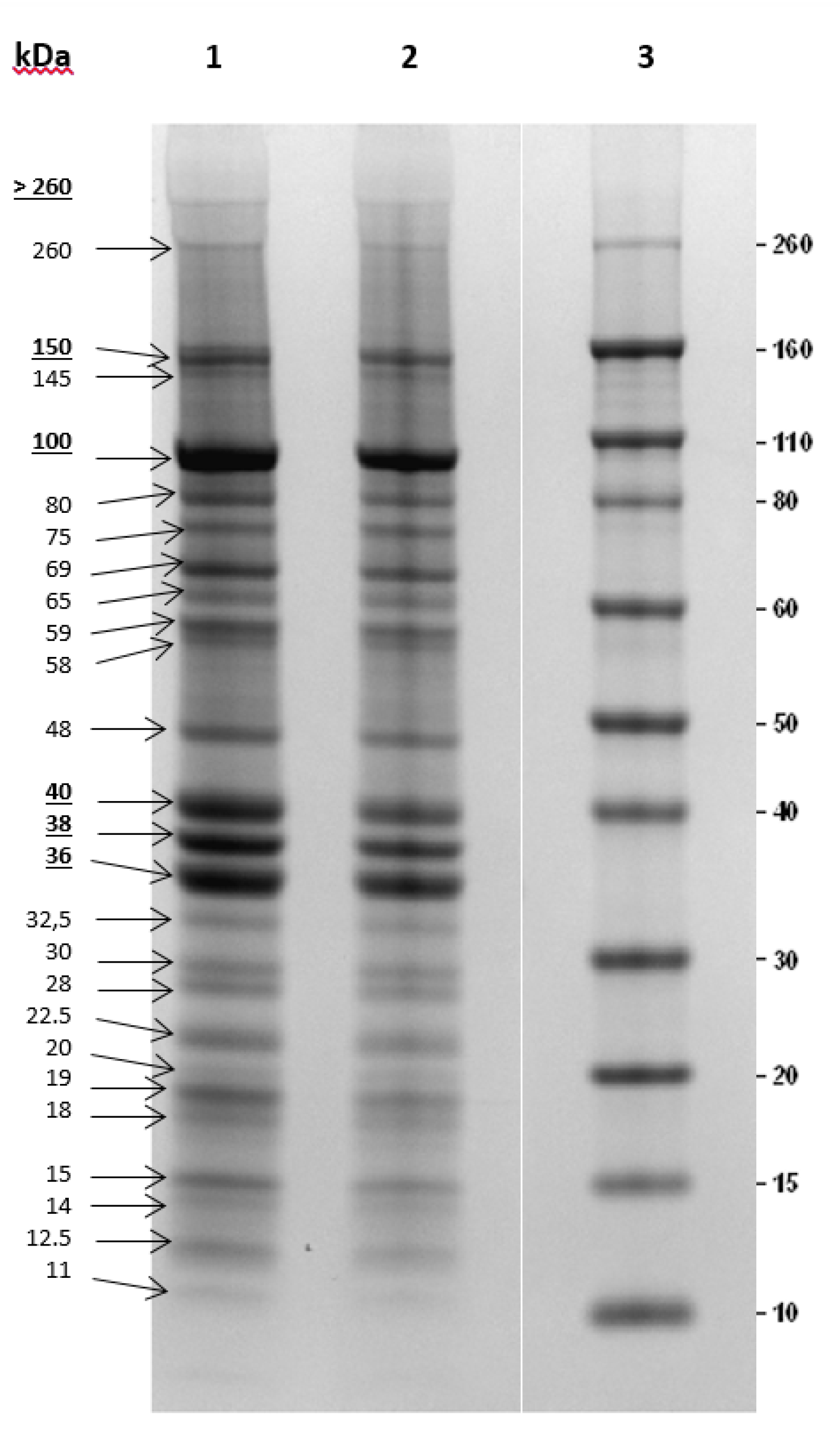 Microorganisms 09 00731 g003 Microorganisms 09 00731 g003