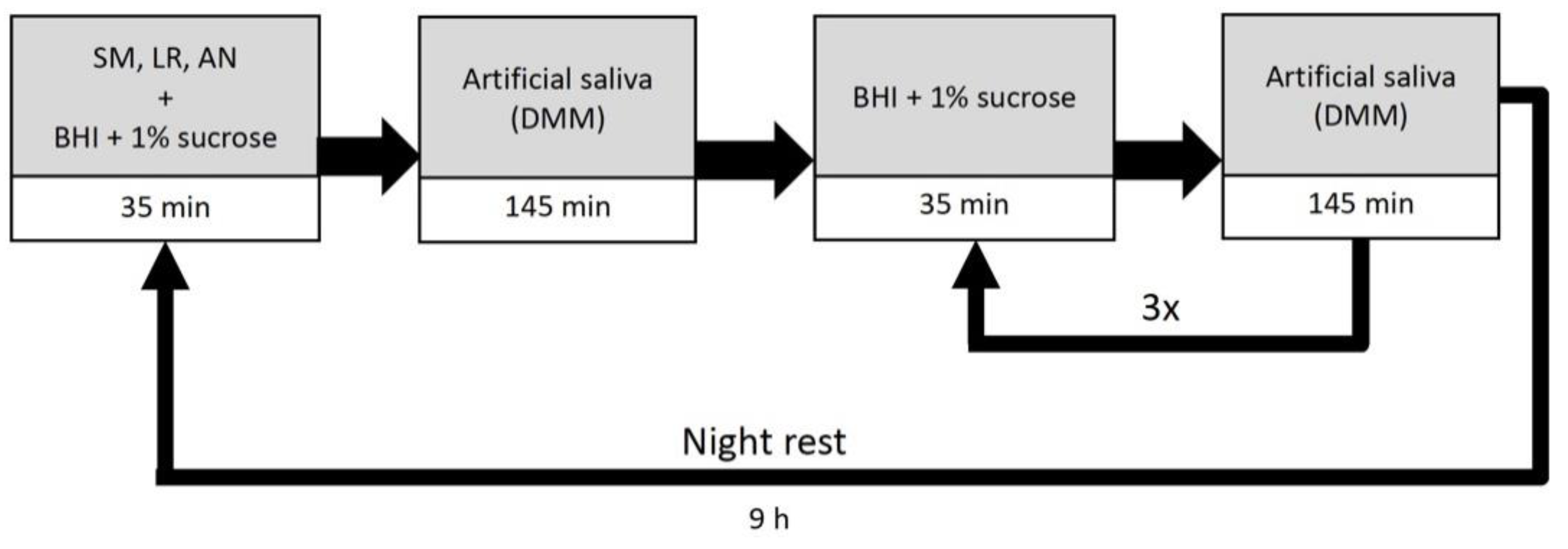 Microorganisms 09 00737 g002 Microorganisms 09 00737 g002