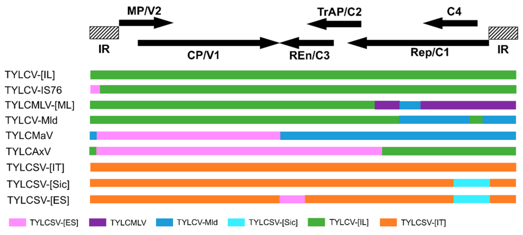 Microorganisms 09 00740 g003
