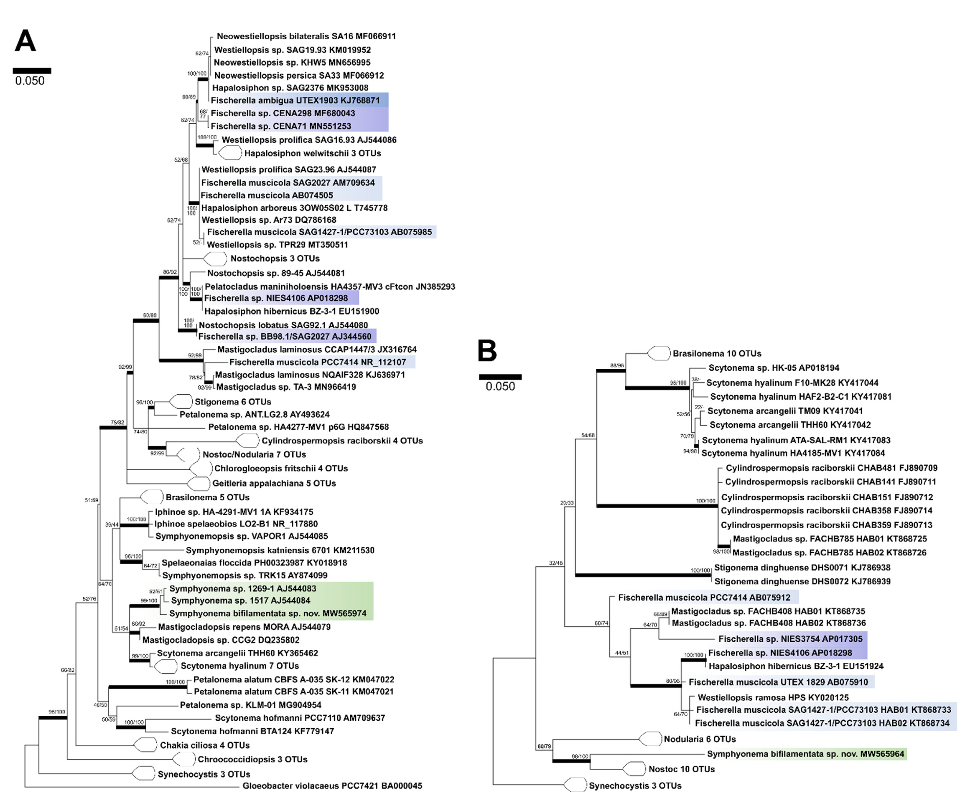 Microorganisms 09 00745 g003