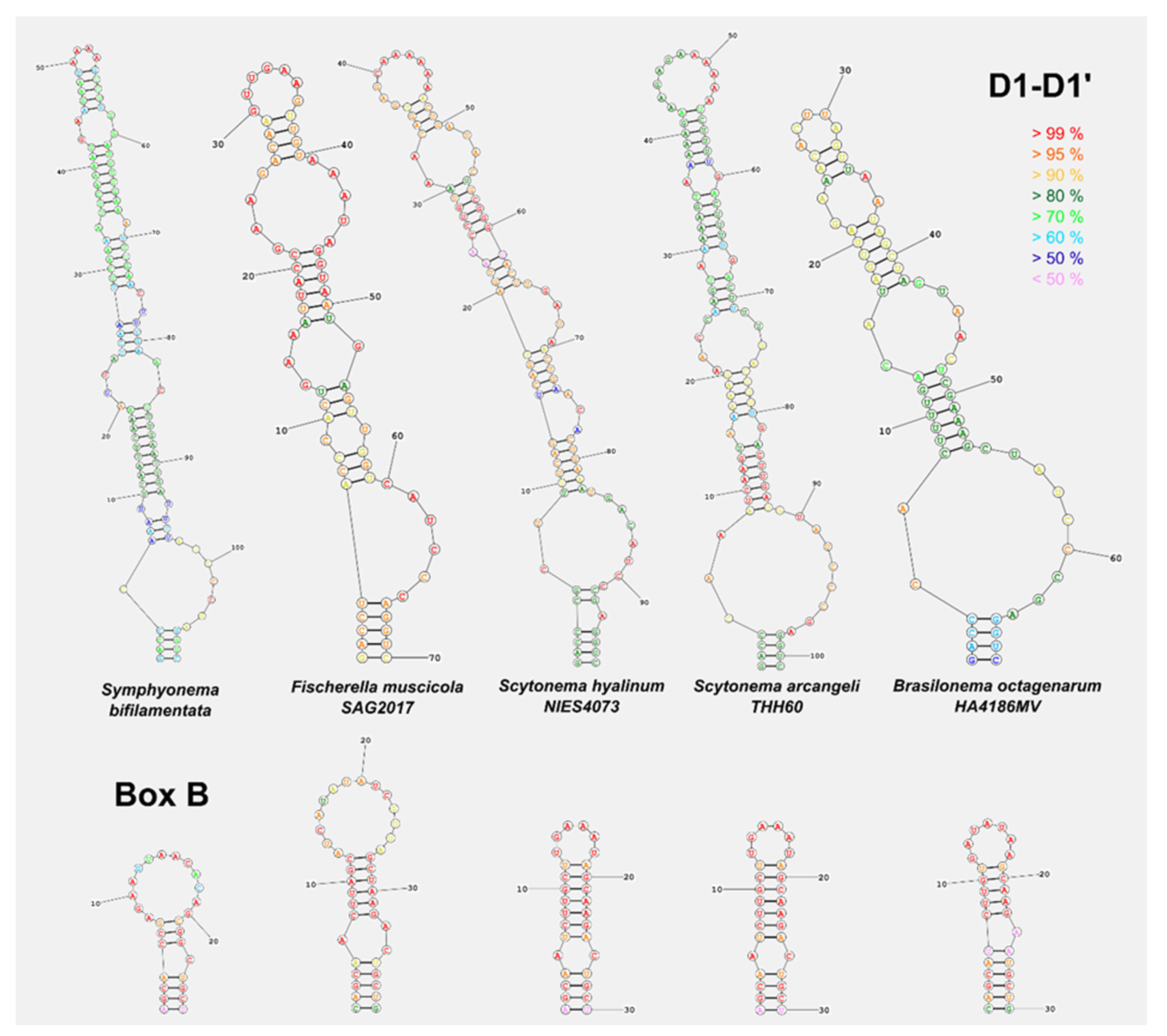 Microorganisms 09 00745 g004