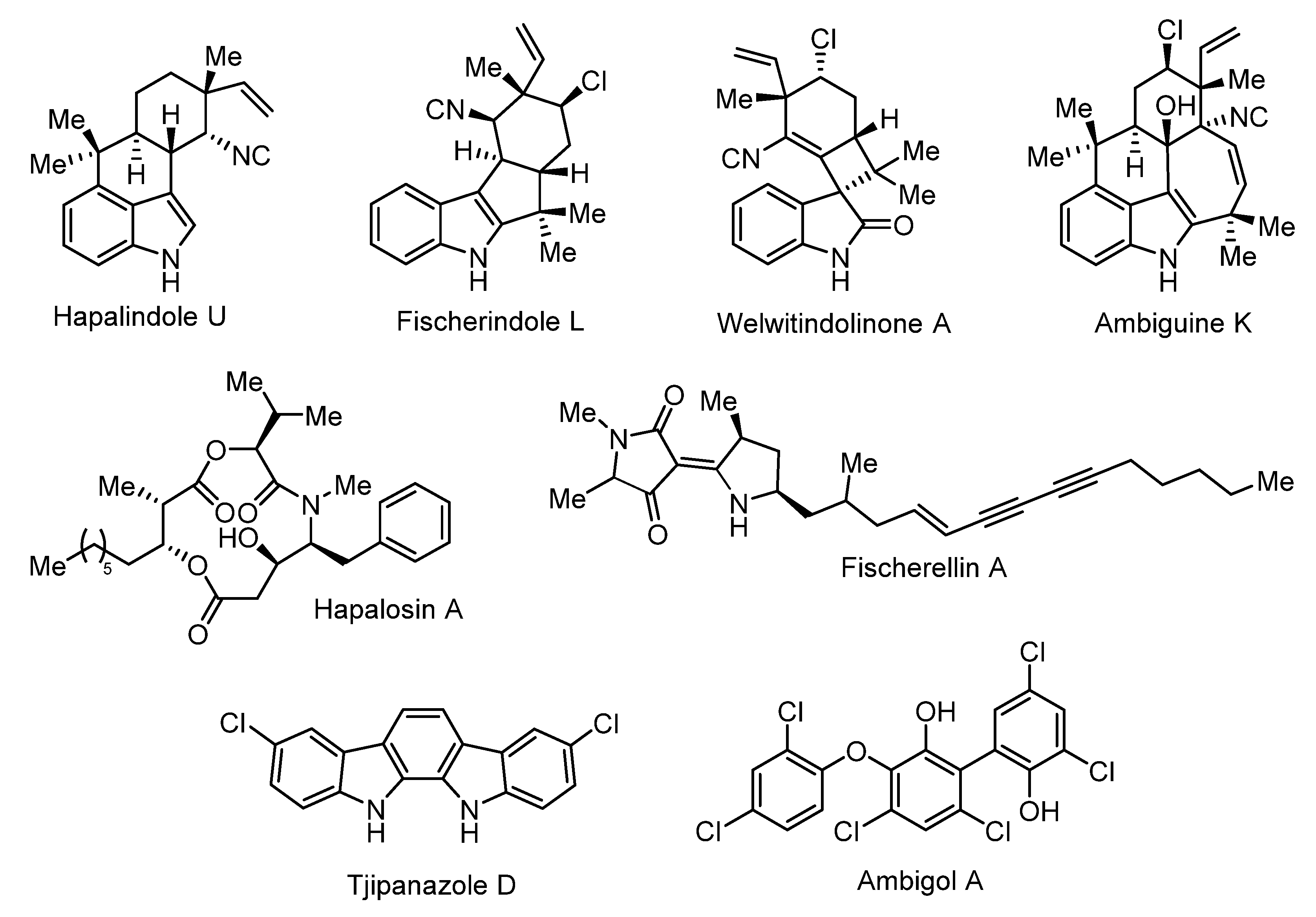 Microorganisms 09 00745 g005
