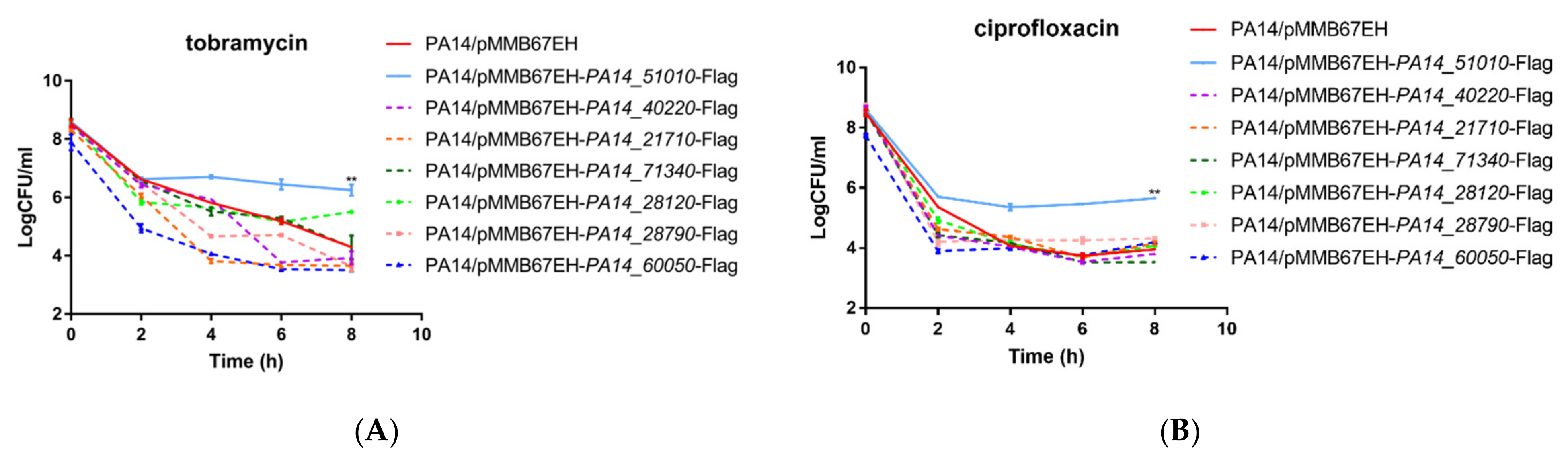 Microorganisms 09 00753 g001 Microorganisms 09 00753 g001