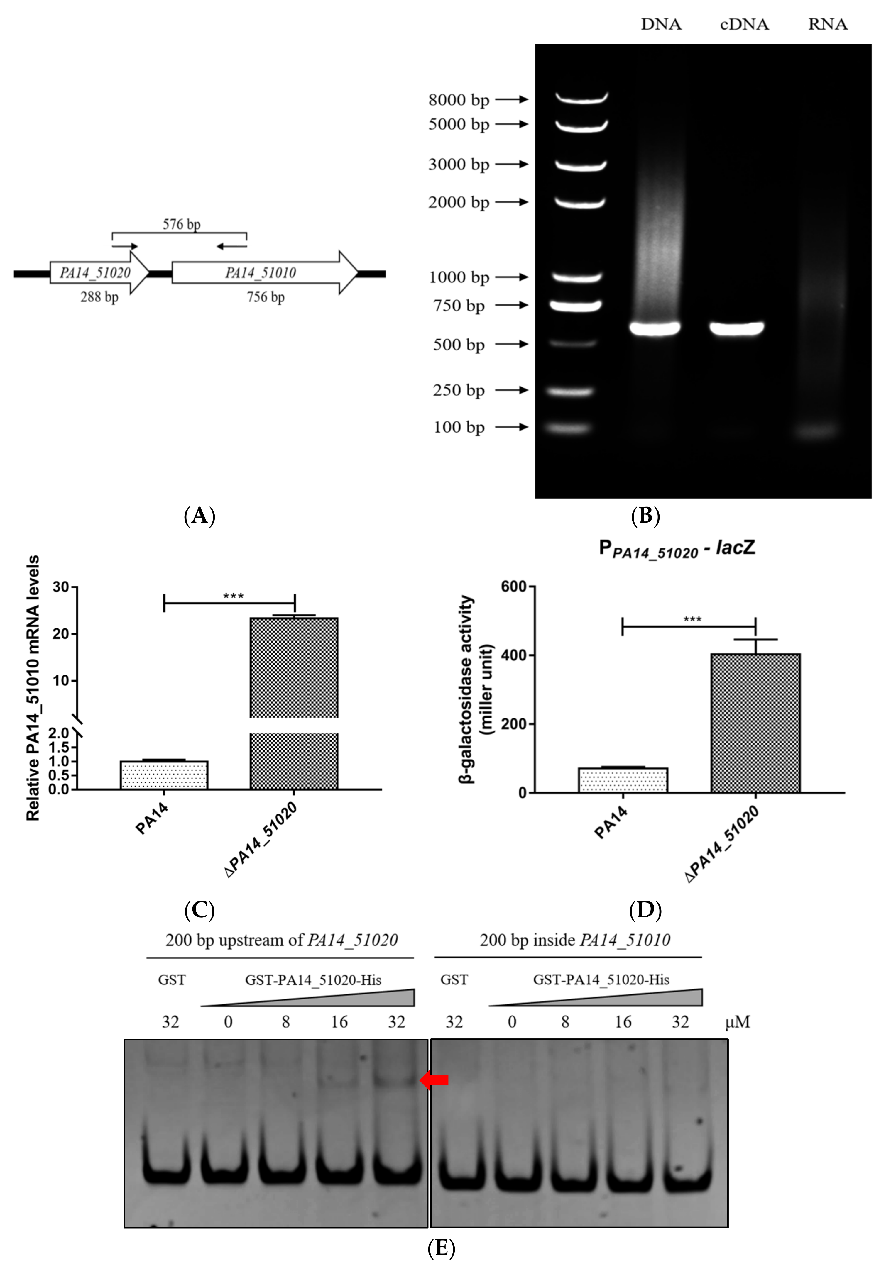 Microorganisms 09 00753 g002 Microorganisms 09 00753 g002