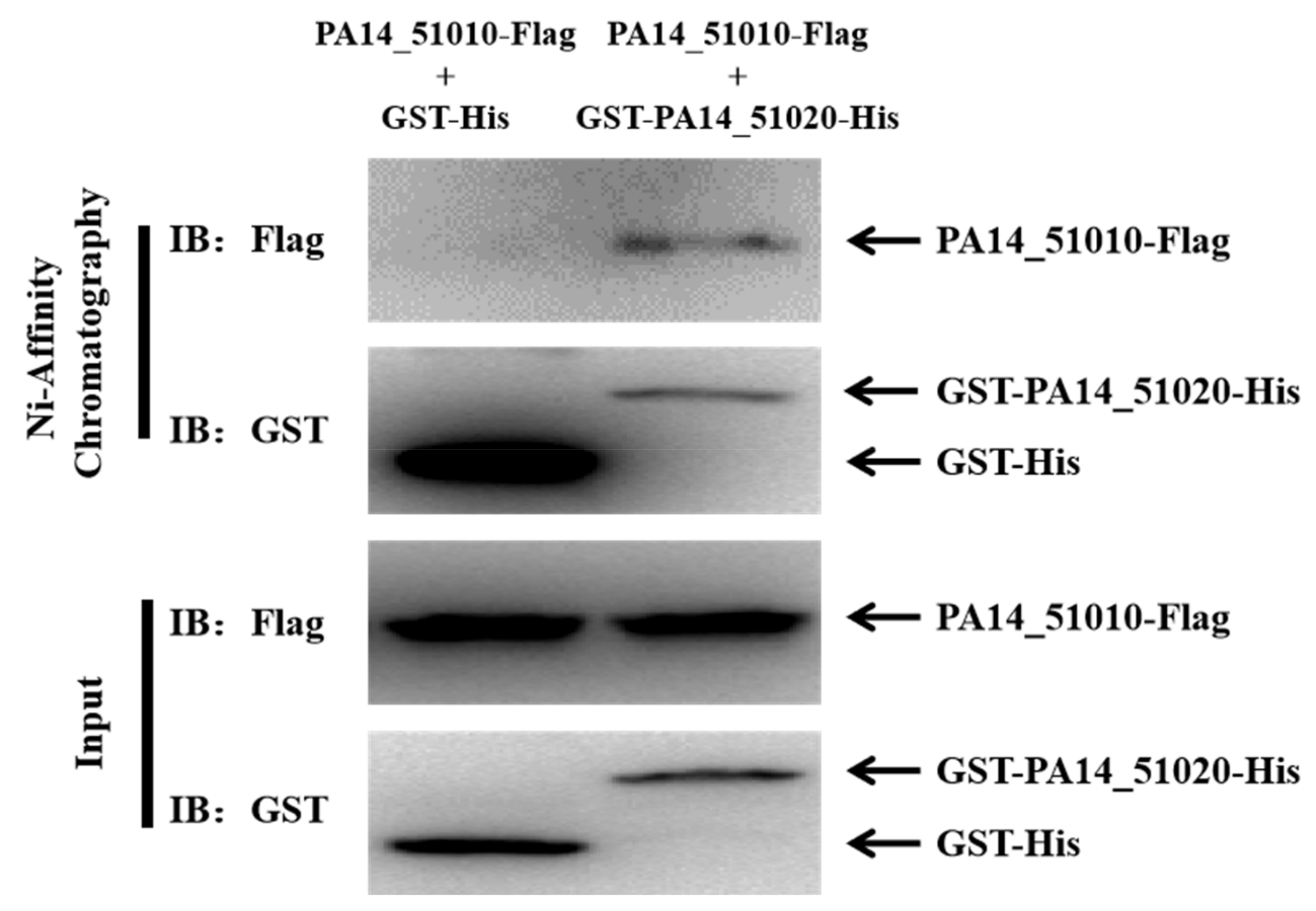 Microorganisms 09 00753 g003 Microorganisms 09 00753 g003