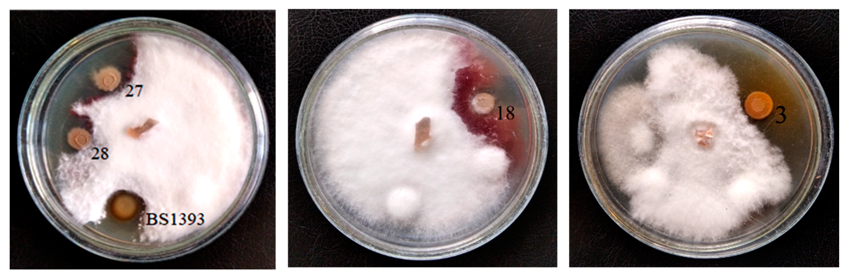 Microorganisms 09 00755 g001 Microorganisms 09 00755 g001