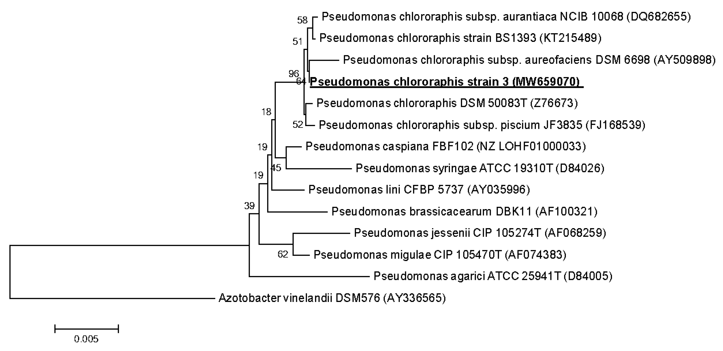 Microorganisms 09 00755 g007 Microorganisms 09 00755 g007