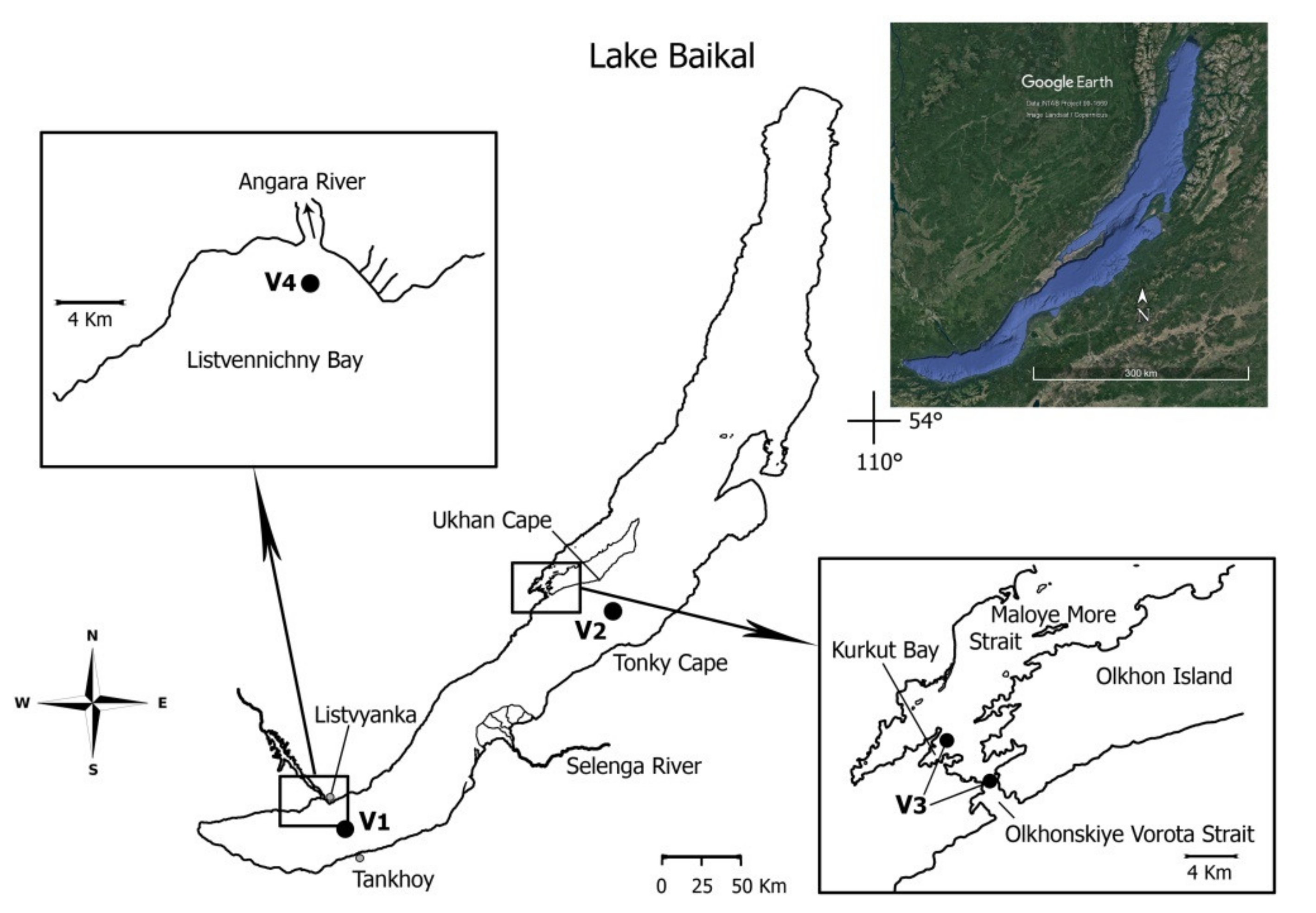 Microorganisms 09 00760 g001 Microorganisms 09 00760 g001