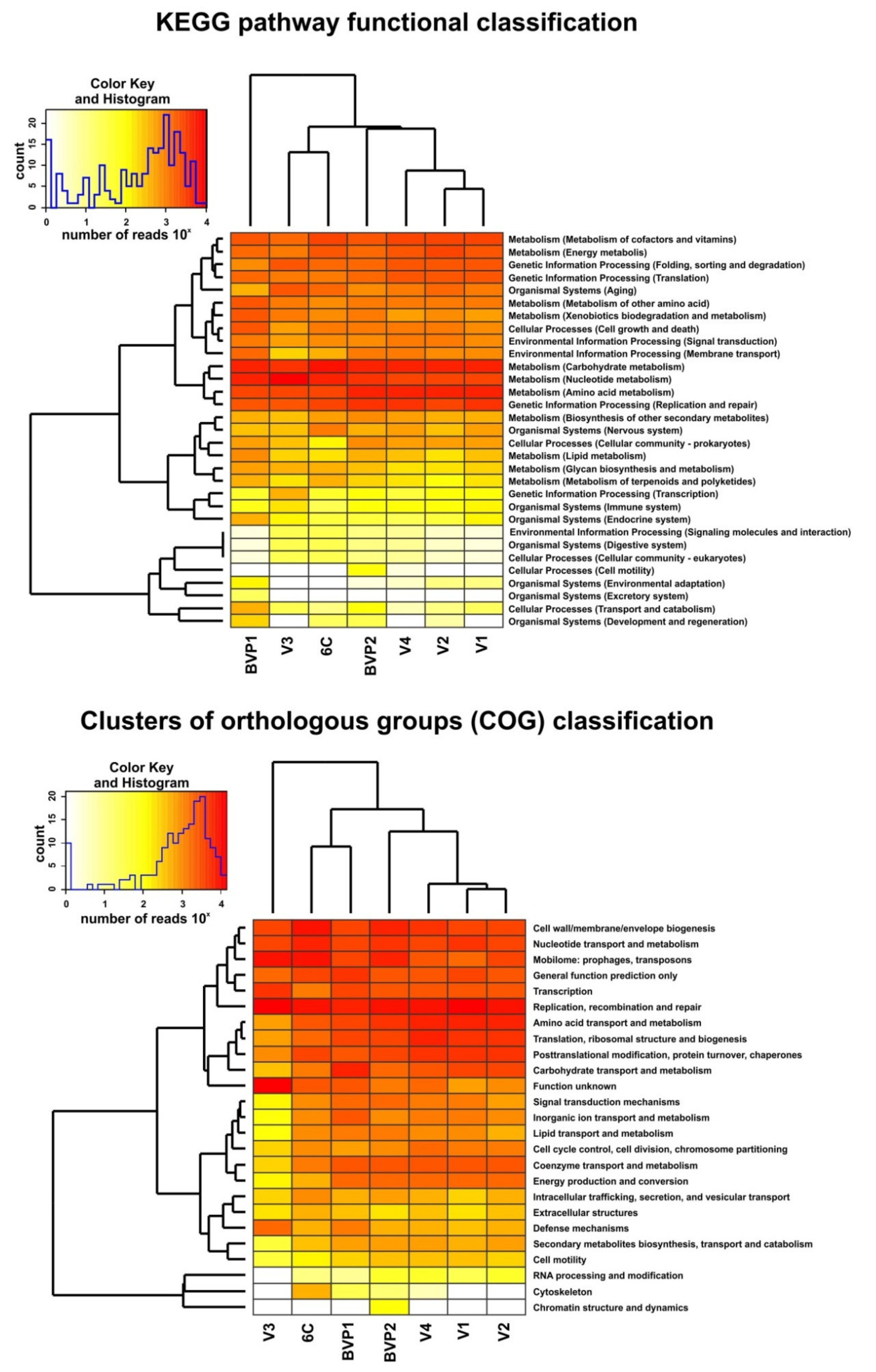 Microorganisms 09 00760 g003 Microorganisms 09 00760 g003