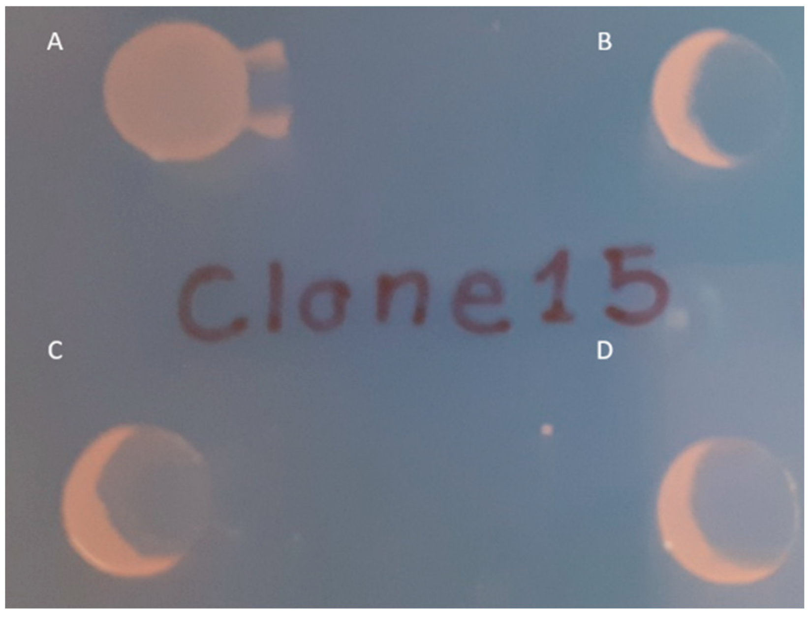 Microorganisms 09 00762 g002 Microorganisms 09 00762 g002