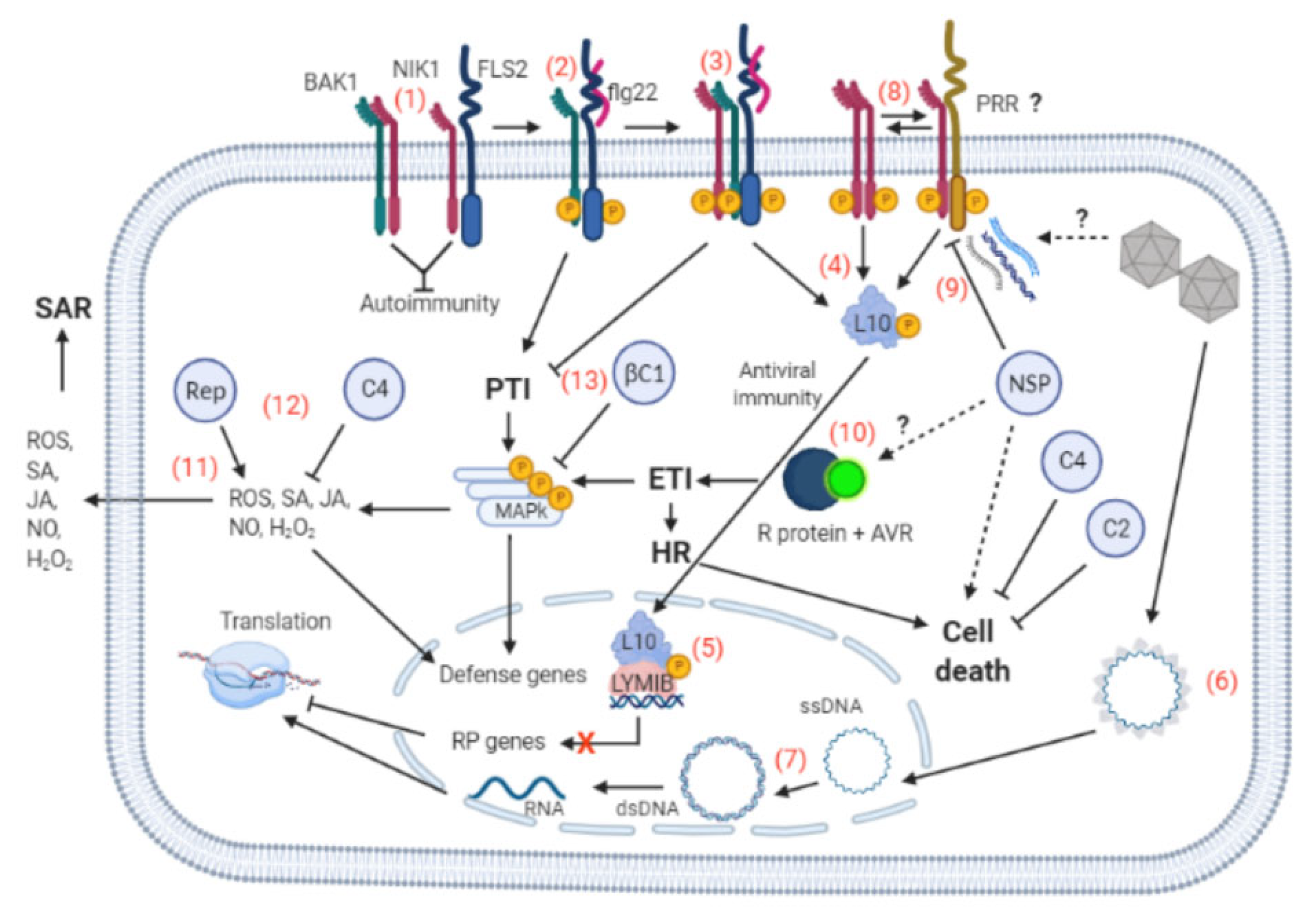 Microorganisms 09 00775 g003 Microorganisms 09 00775 g003