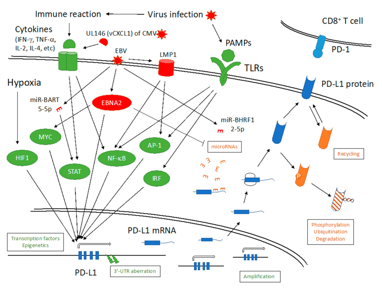 Microorganisms 09 00778 g001 Microorganisms 09 00778 g001