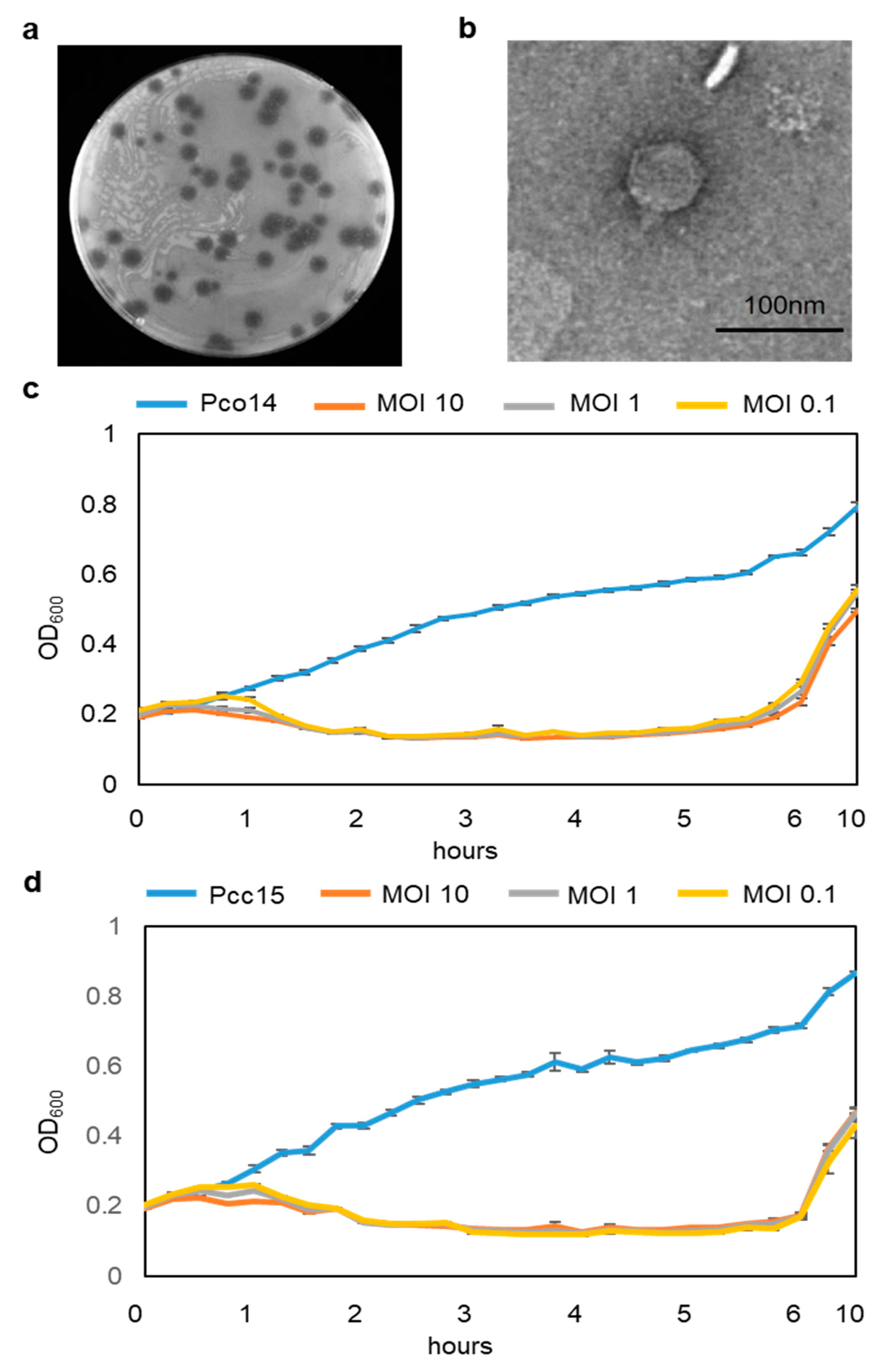 Microorganisms 09 00779 g001 Microorganisms 09 00779 g001