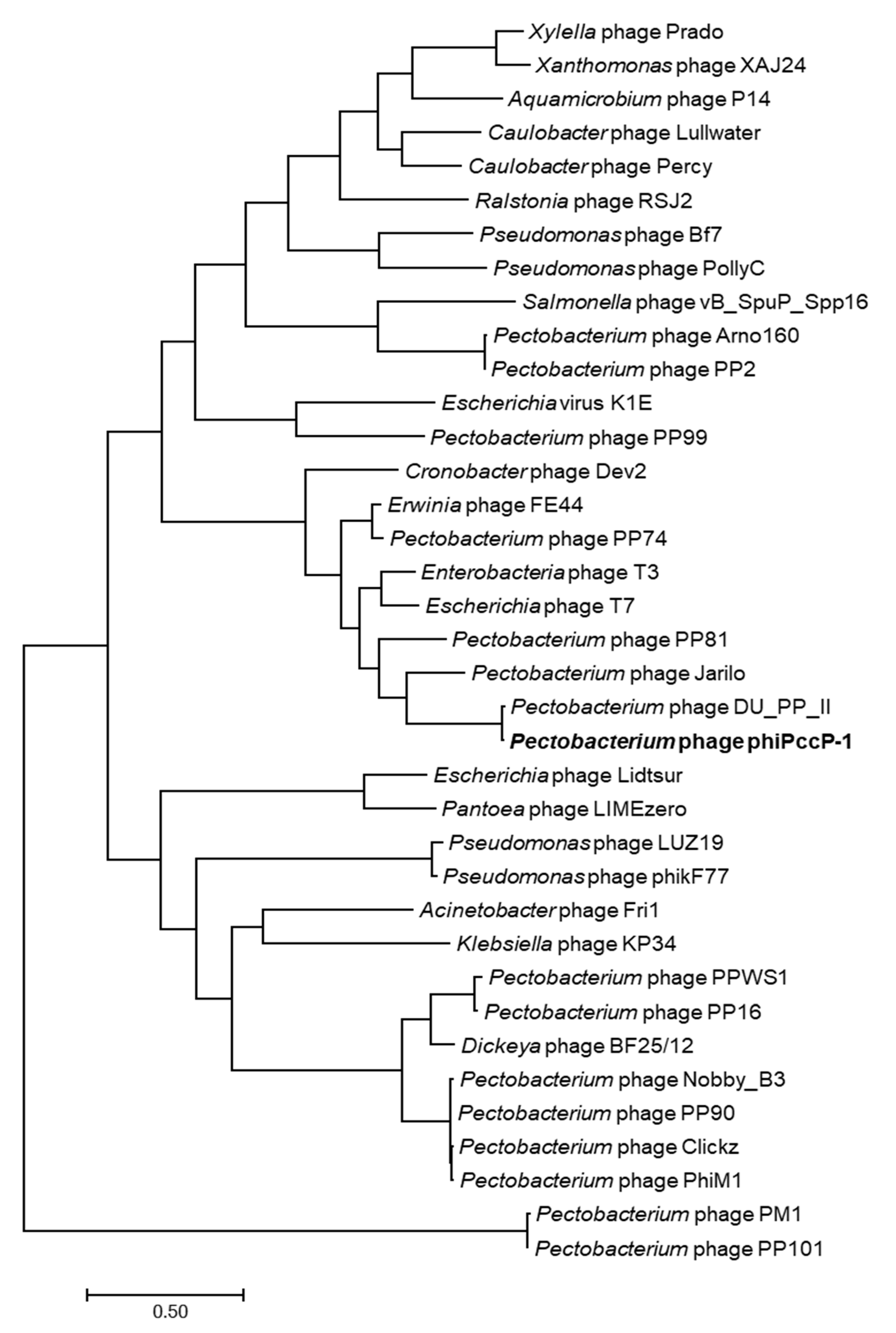 Microorganisms 09 00779 g003 Microorganisms 09 00779 g003