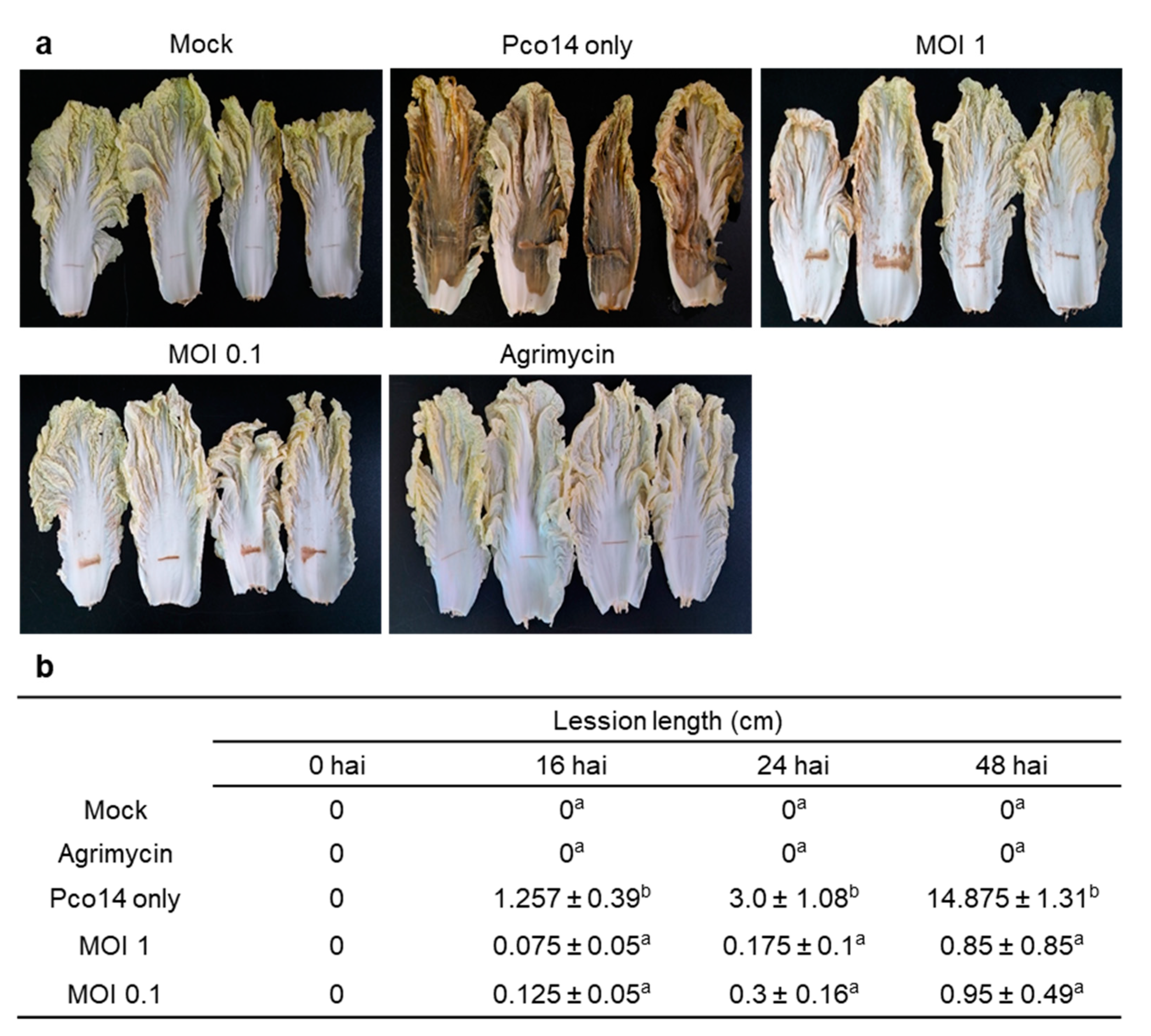 Microorganisms 09 00779 g004 Microorganisms 09 00779 g004