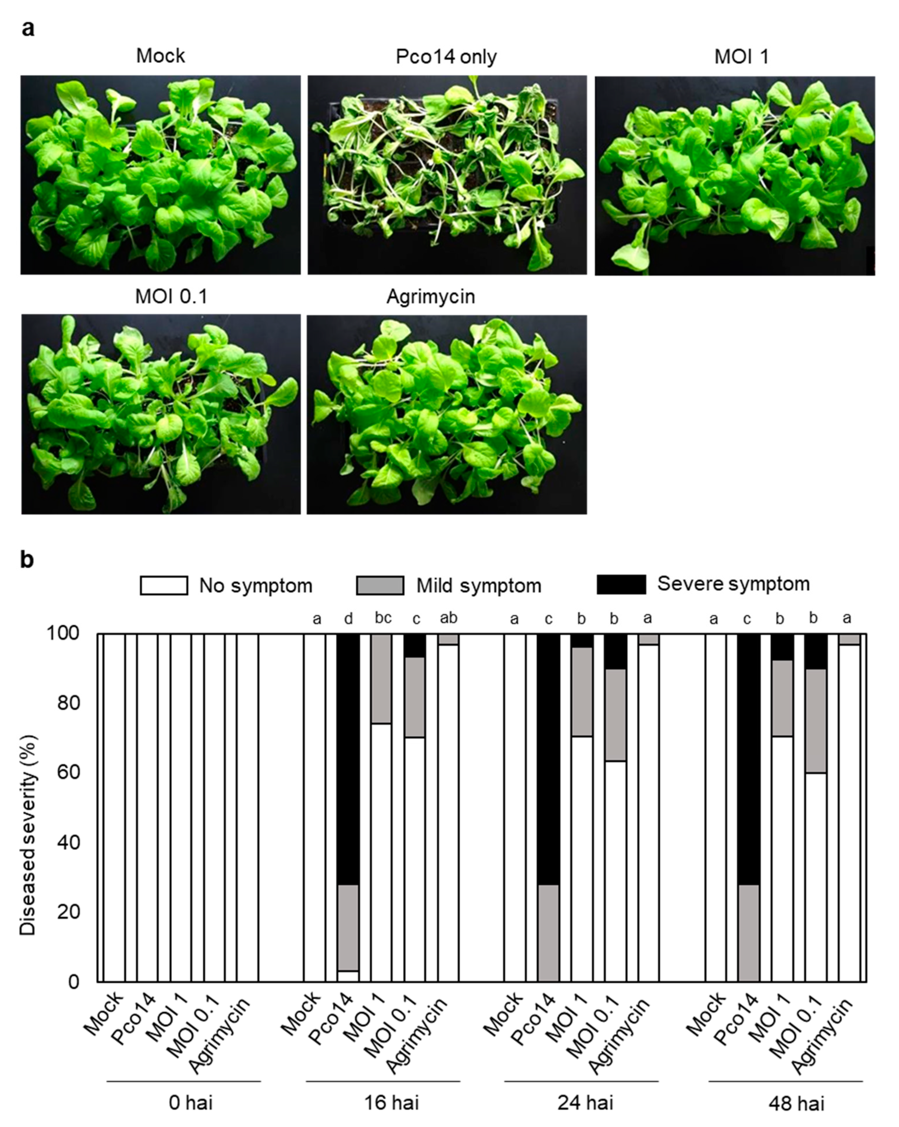 Microorganisms 09 00779 g005 Microorganisms 09 00779 g005