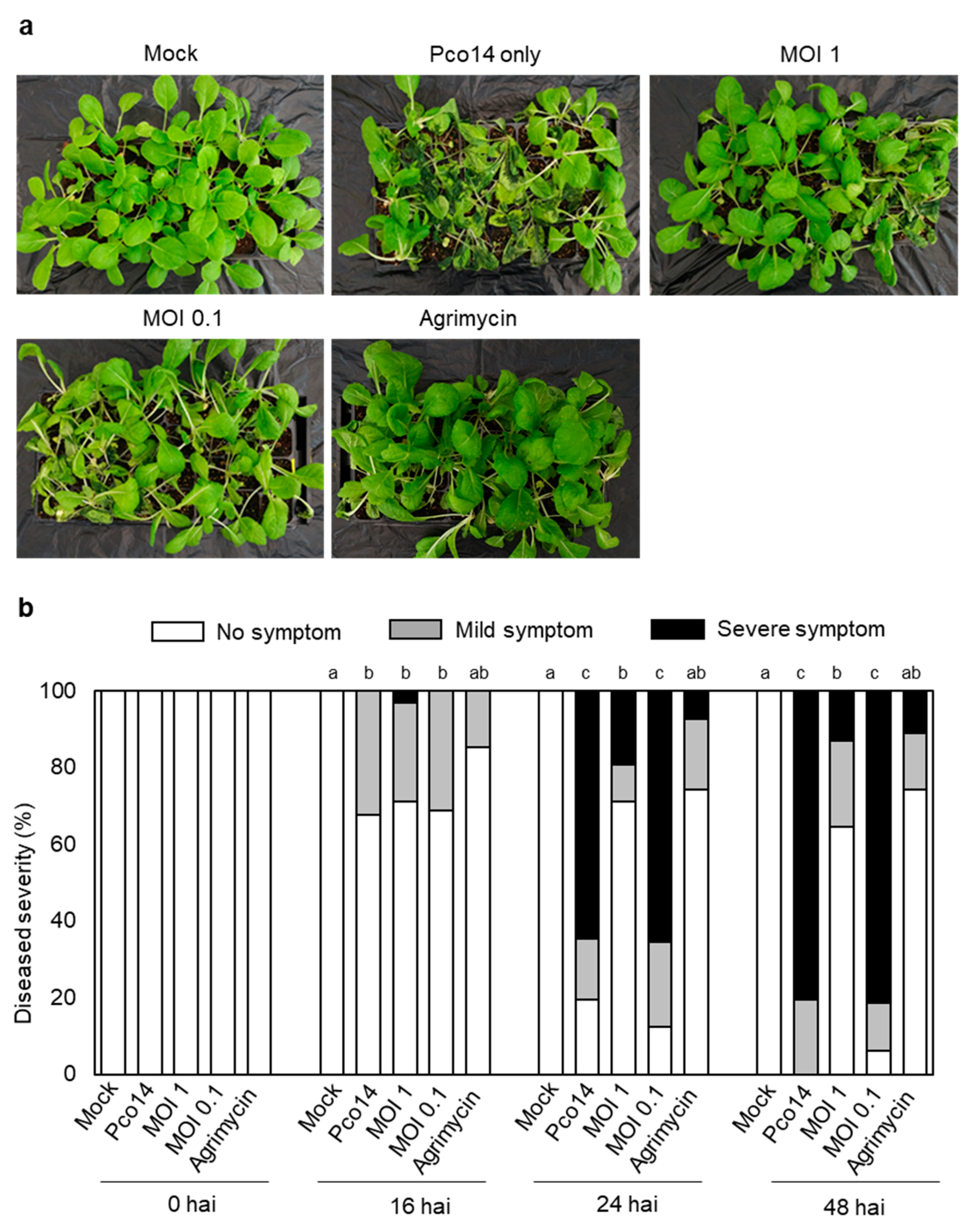 Microorganisms 09 00779 g006 Microorganisms 09 00779 g006