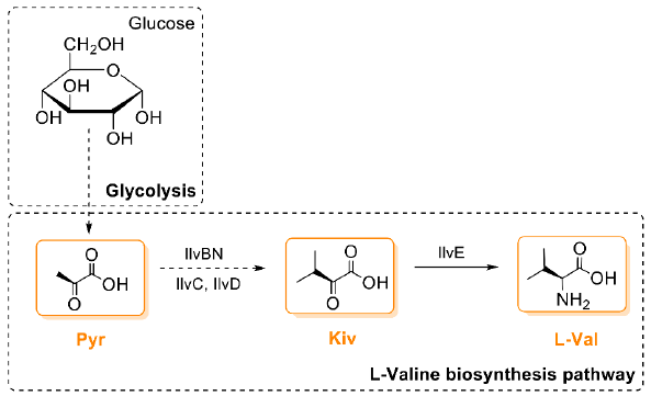 Microorganisms 09 00780 g004