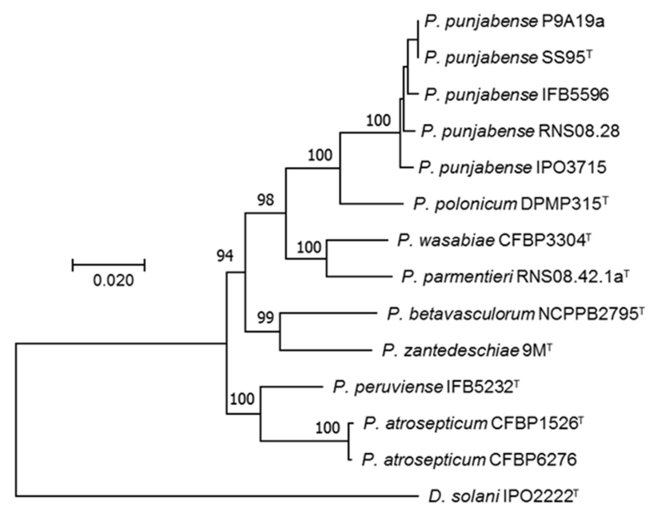 Microorganisms 09 00781 g001 Microorganisms 09 00781 g001