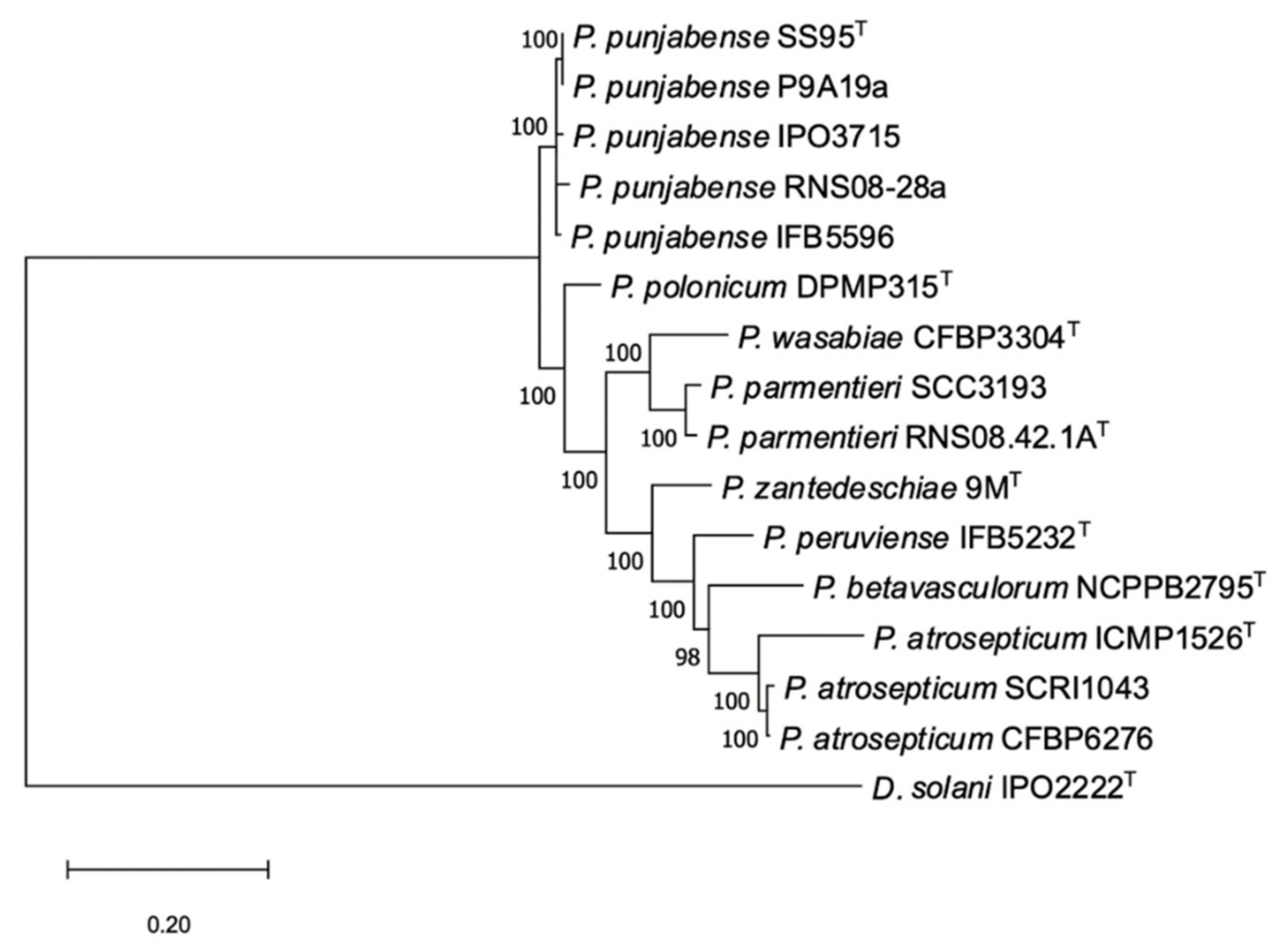 Microorganisms 09 00781 g002 Microorganisms 09 00781 g002