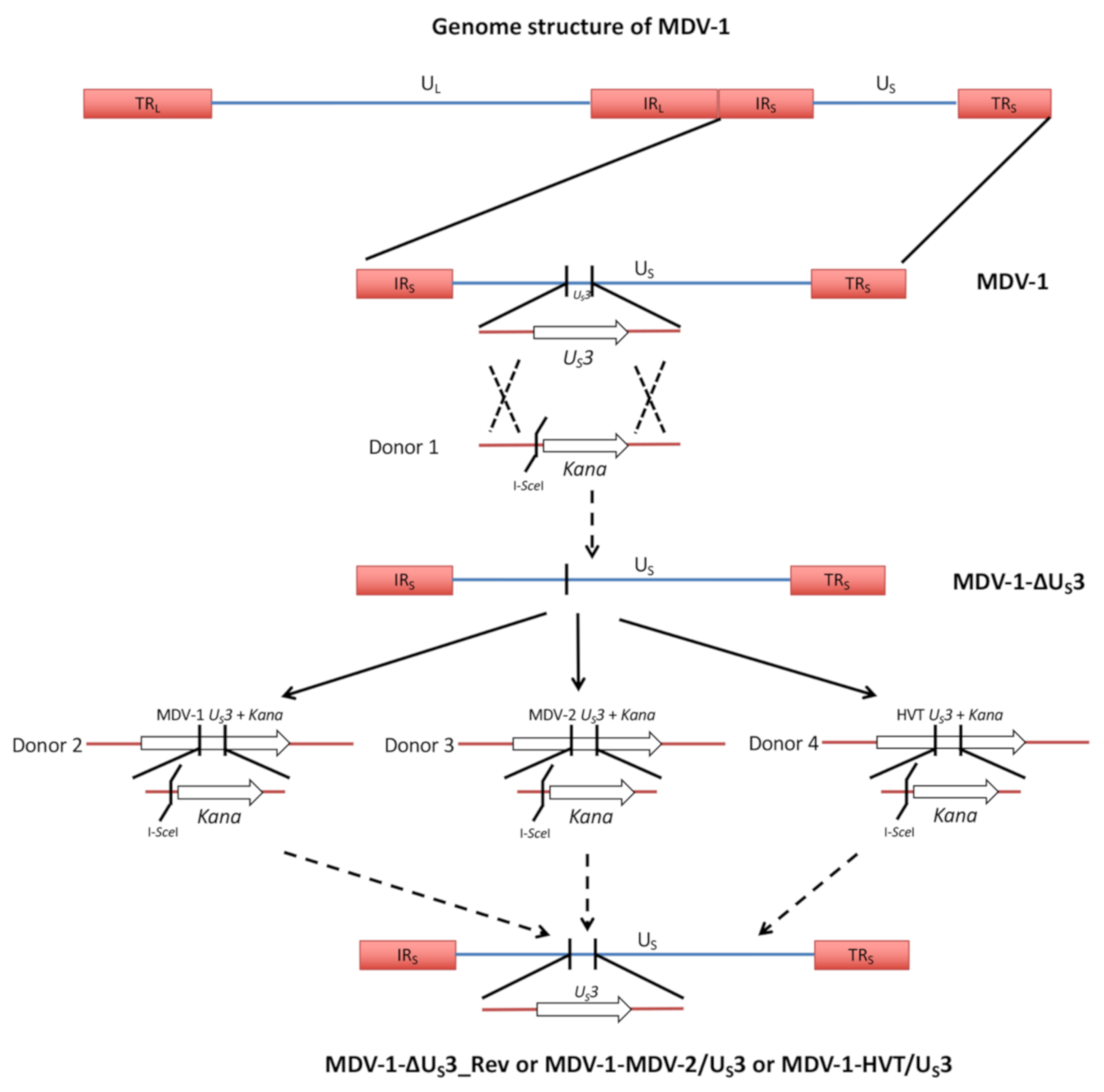 Microorganisms 09 00785 g001 Microorganisms 09 00785 g001