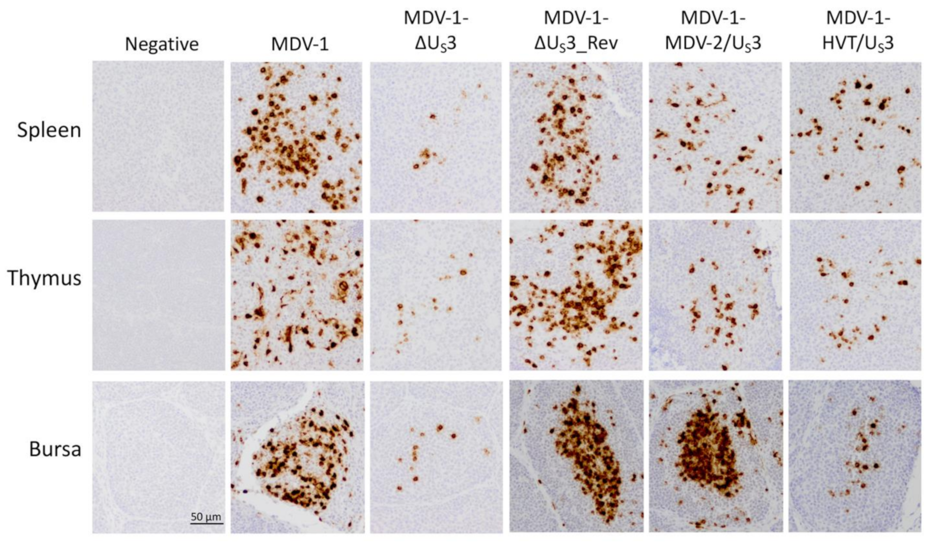 Microorganisms 09 00785 g003 Microorganisms 09 00785 g003