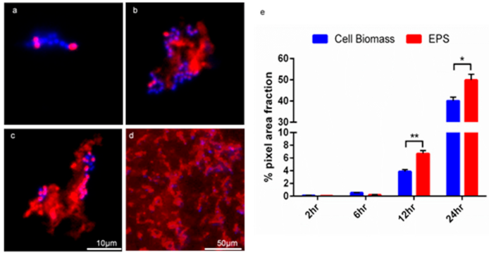 Microorganisms 09 00789 g003 Microorganisms 09 00789 g003