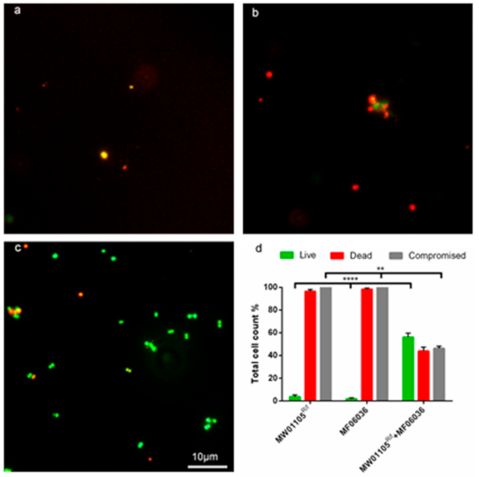 Microorganisms 09 00789 g005 Microorganisms 09 00789 g005
