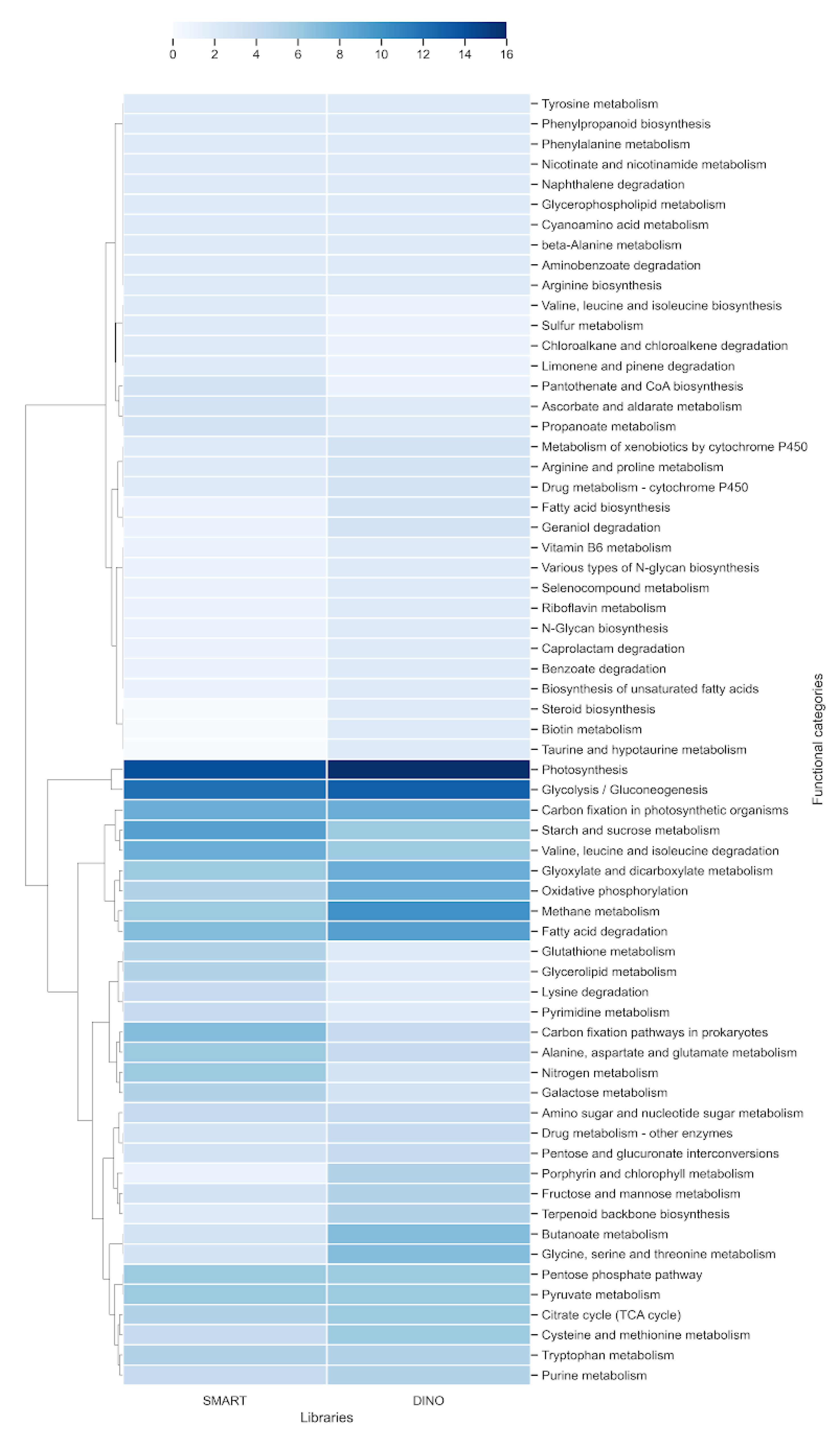 Microorganisms 09 00791 g003 Microorganisms 09 00791 g003