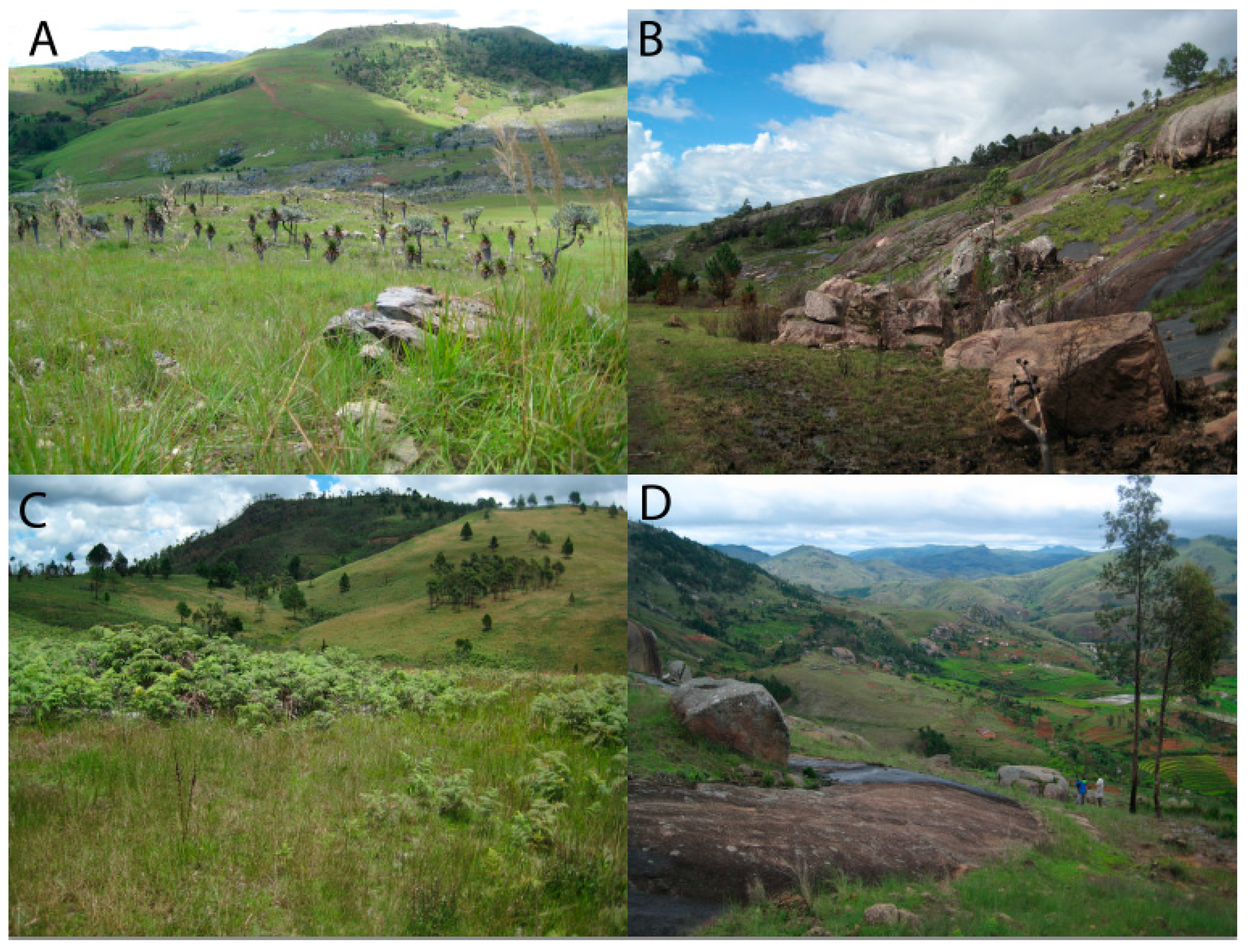 Microorganisms 09 00792 g002