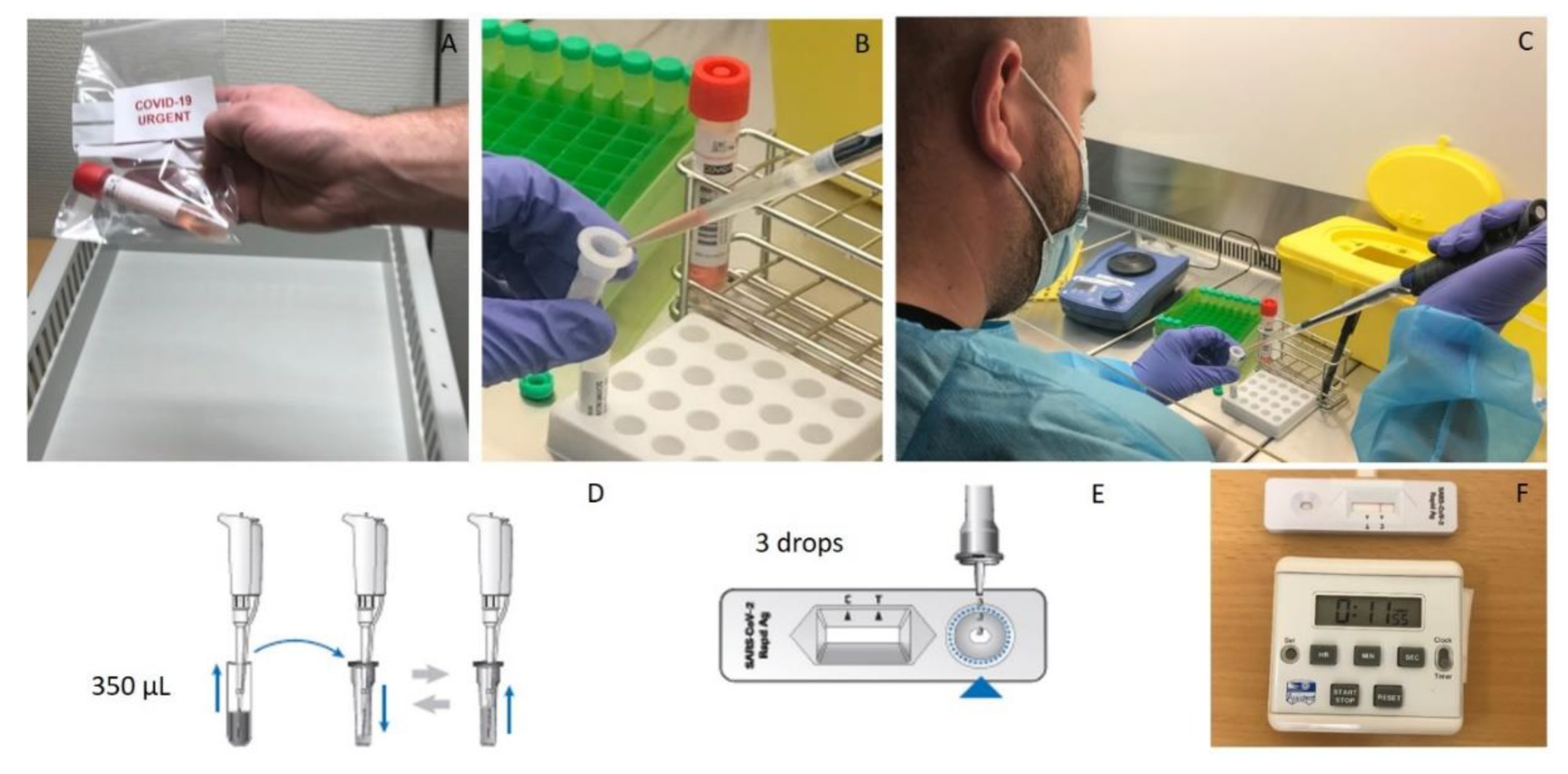Microorganisms 09 00798 g002 Microorganisms 09 00798 g002