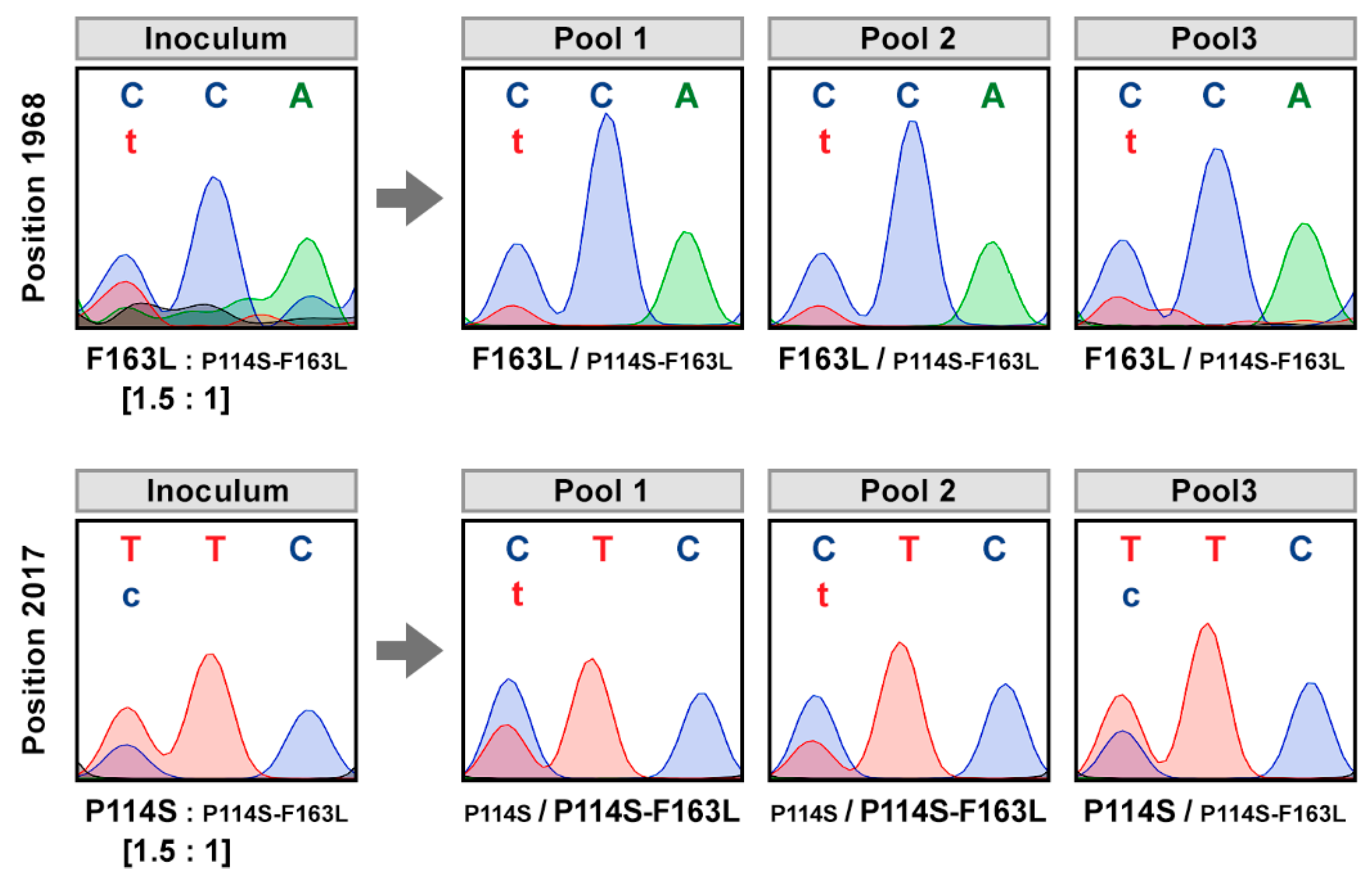 Microorganisms 09 00805 g002 Microorganisms 09 00805 g002