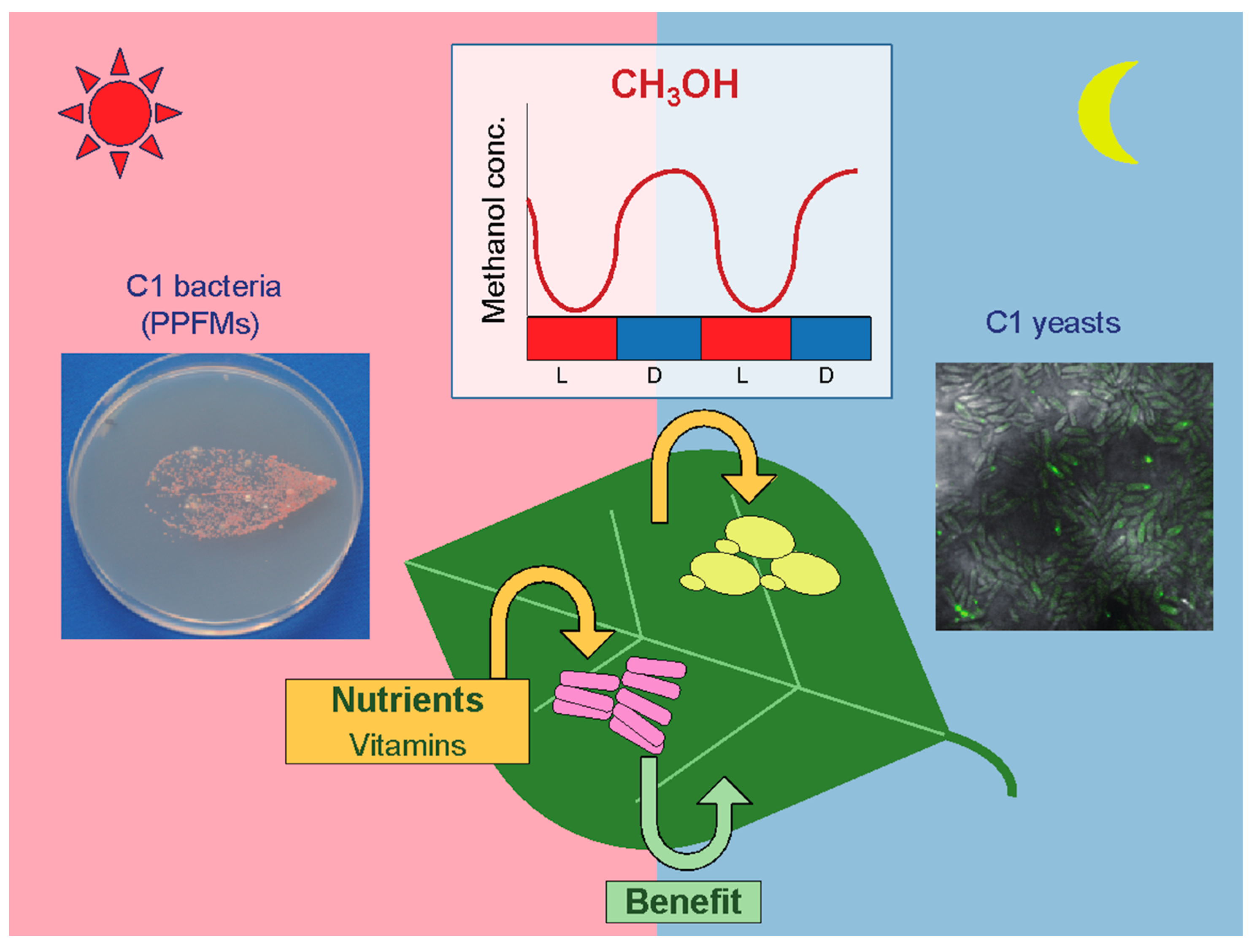 Microorganisms 09 00809 g001 Microorganisms 09 00809 g001