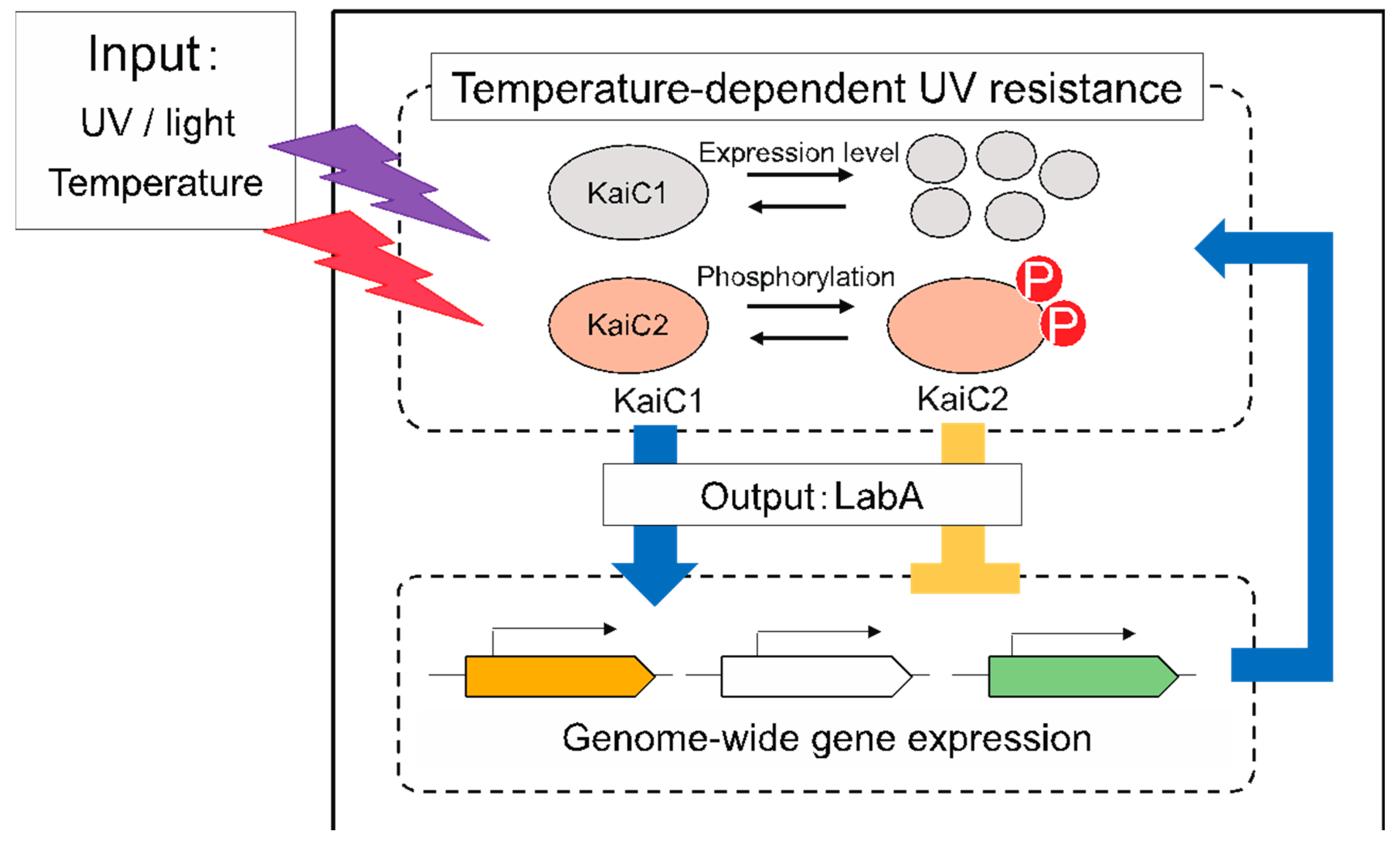 Microorganisms 09 00809 g003 Microorganisms 09 00809 g003