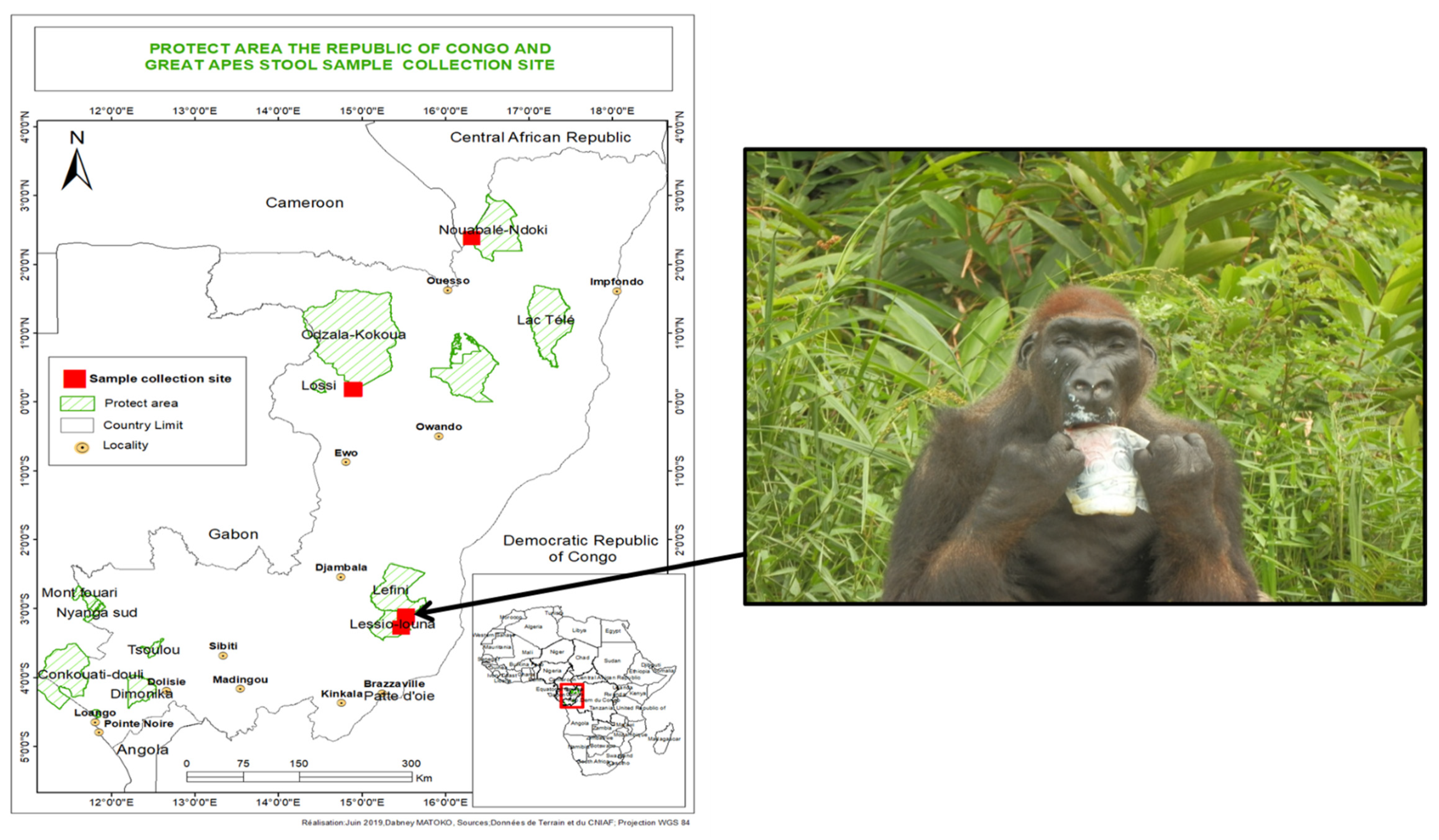 Microorganisms 09 00810 g001 Microorganisms 09 00810 g001