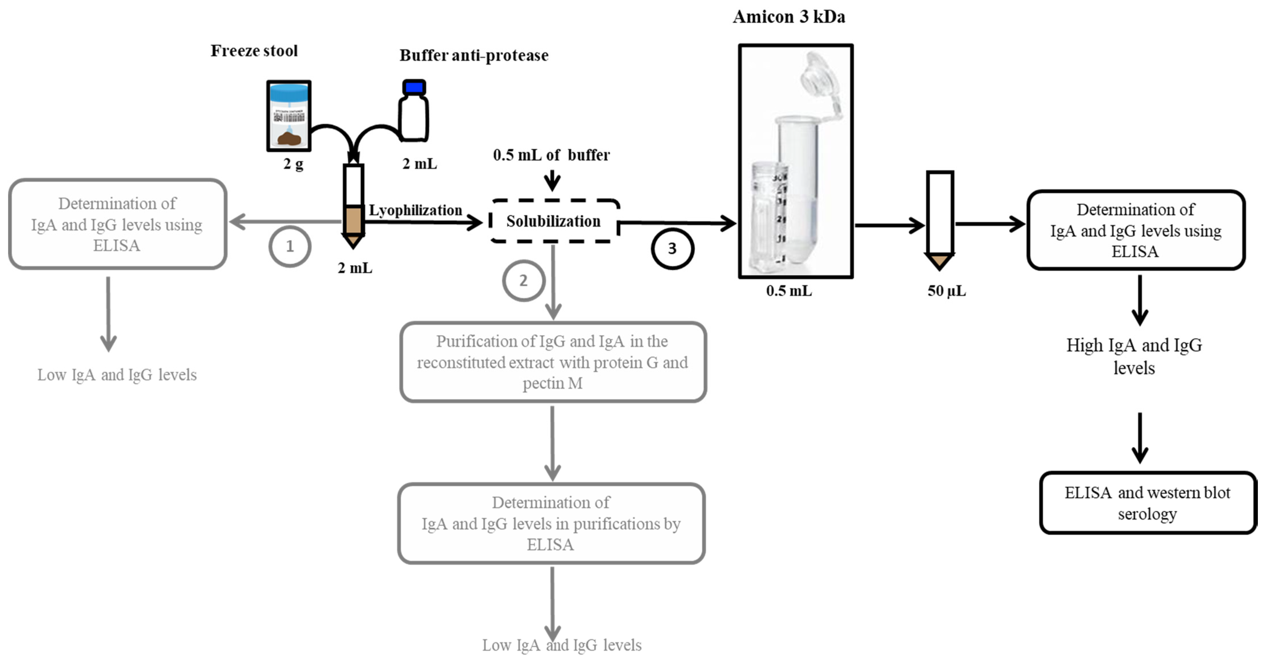 Microorganisms 09 00810 g002 Microorganisms 09 00810 g002