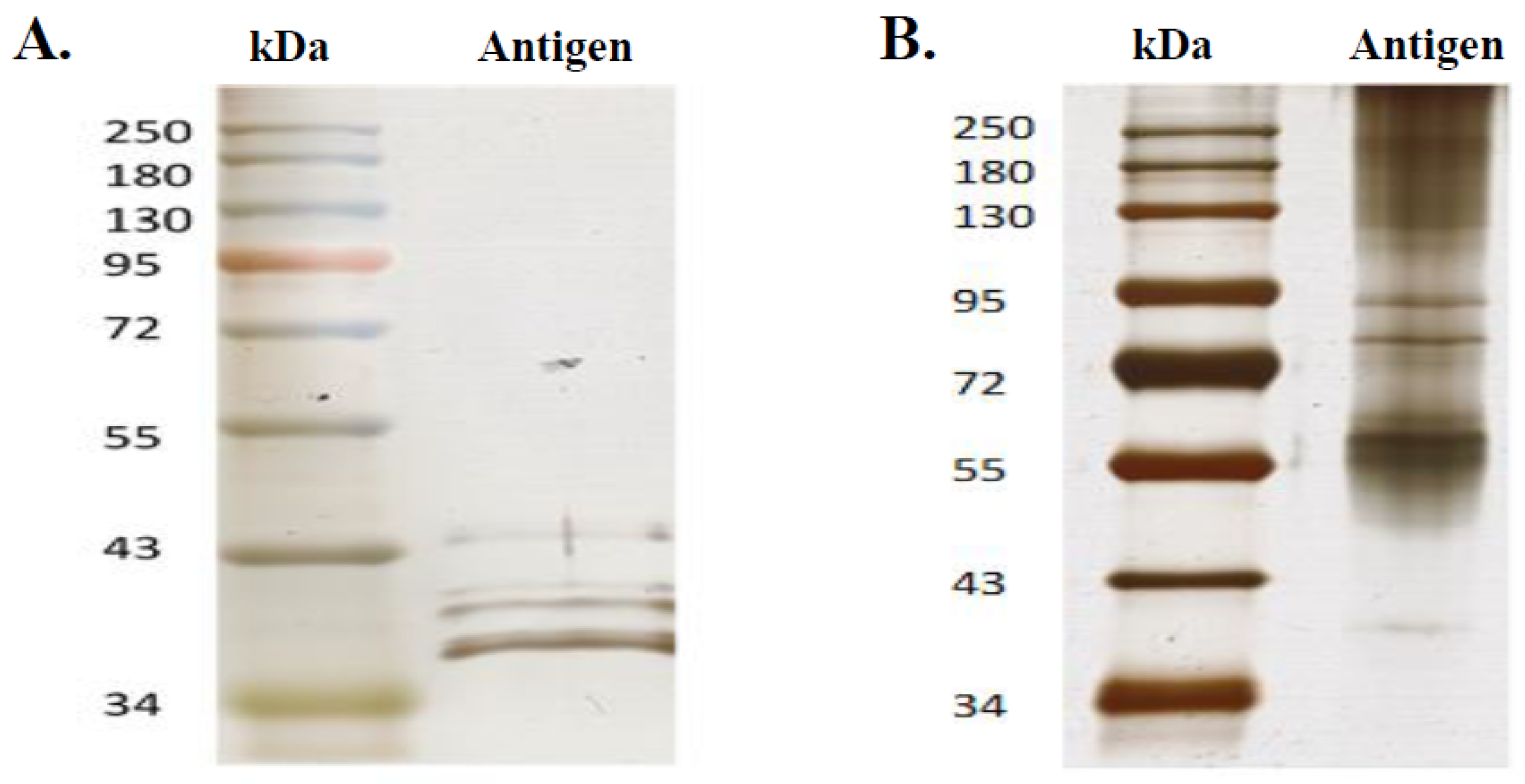 Microorganisms 09 00810 g006 Microorganisms 09 00810 g006