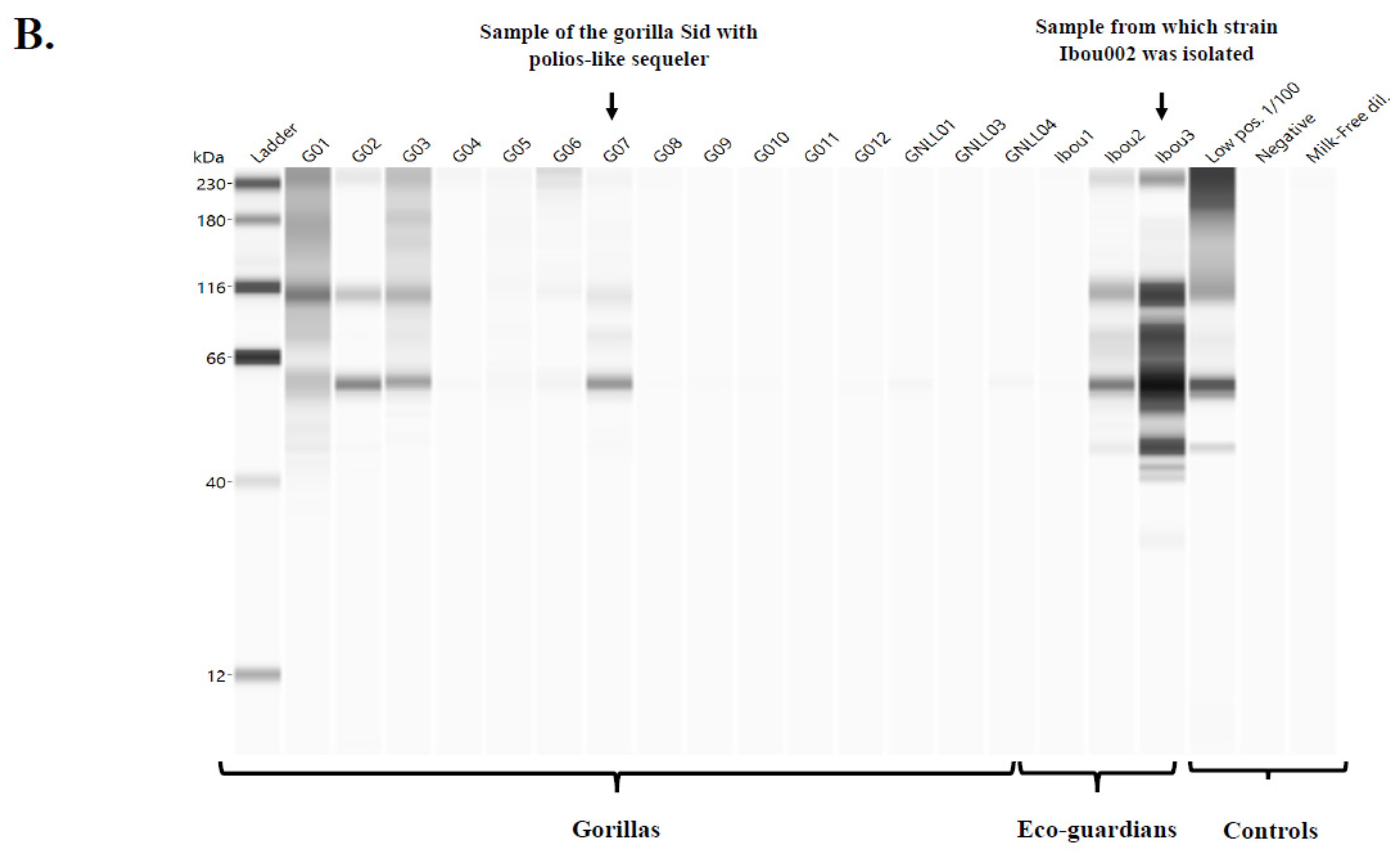 Microorganisms 09 00810 g007b Microorganisms 09 00810 g007b
