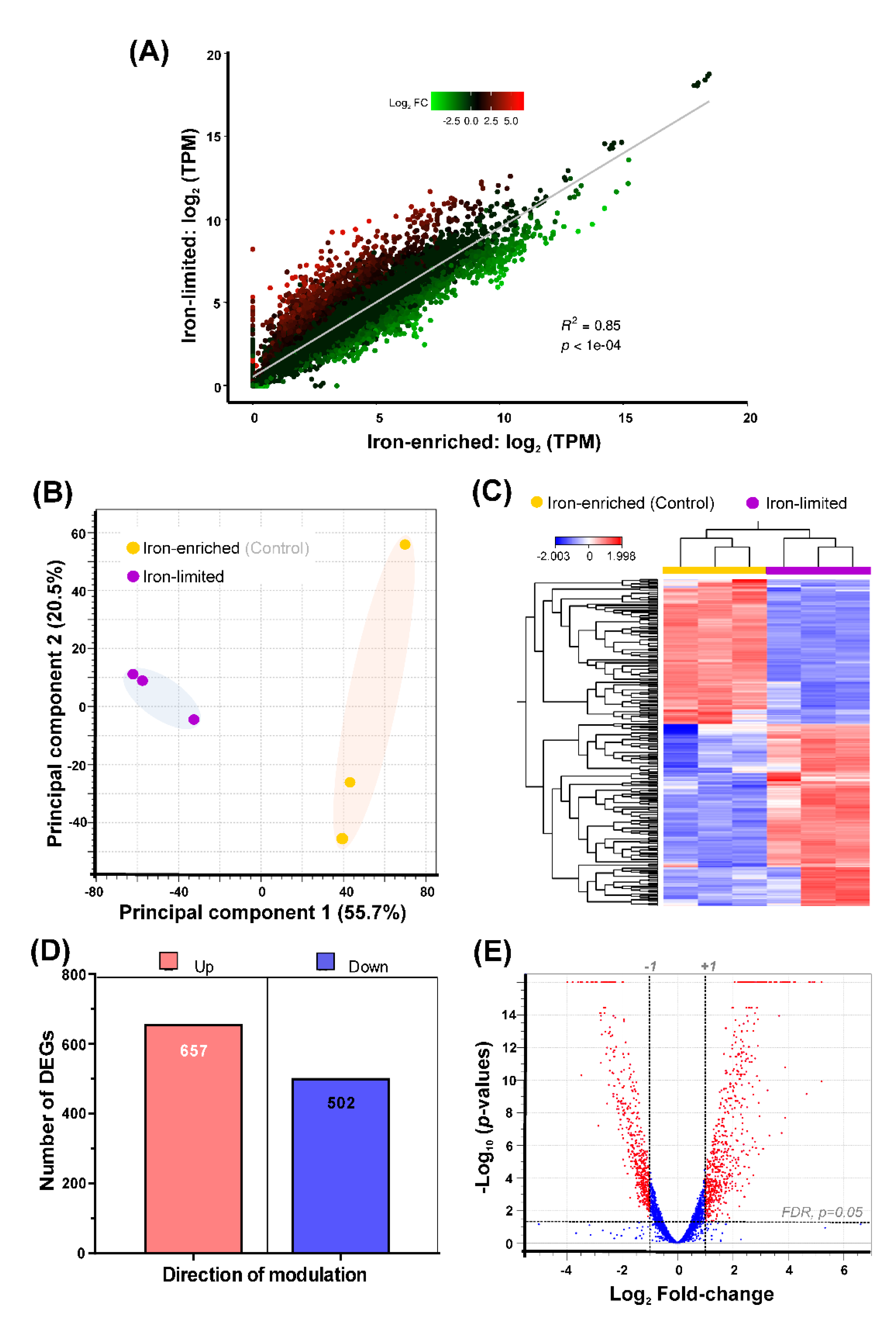 Microorganisms 09 00812 g006 Microorganisms 09 00812 g006