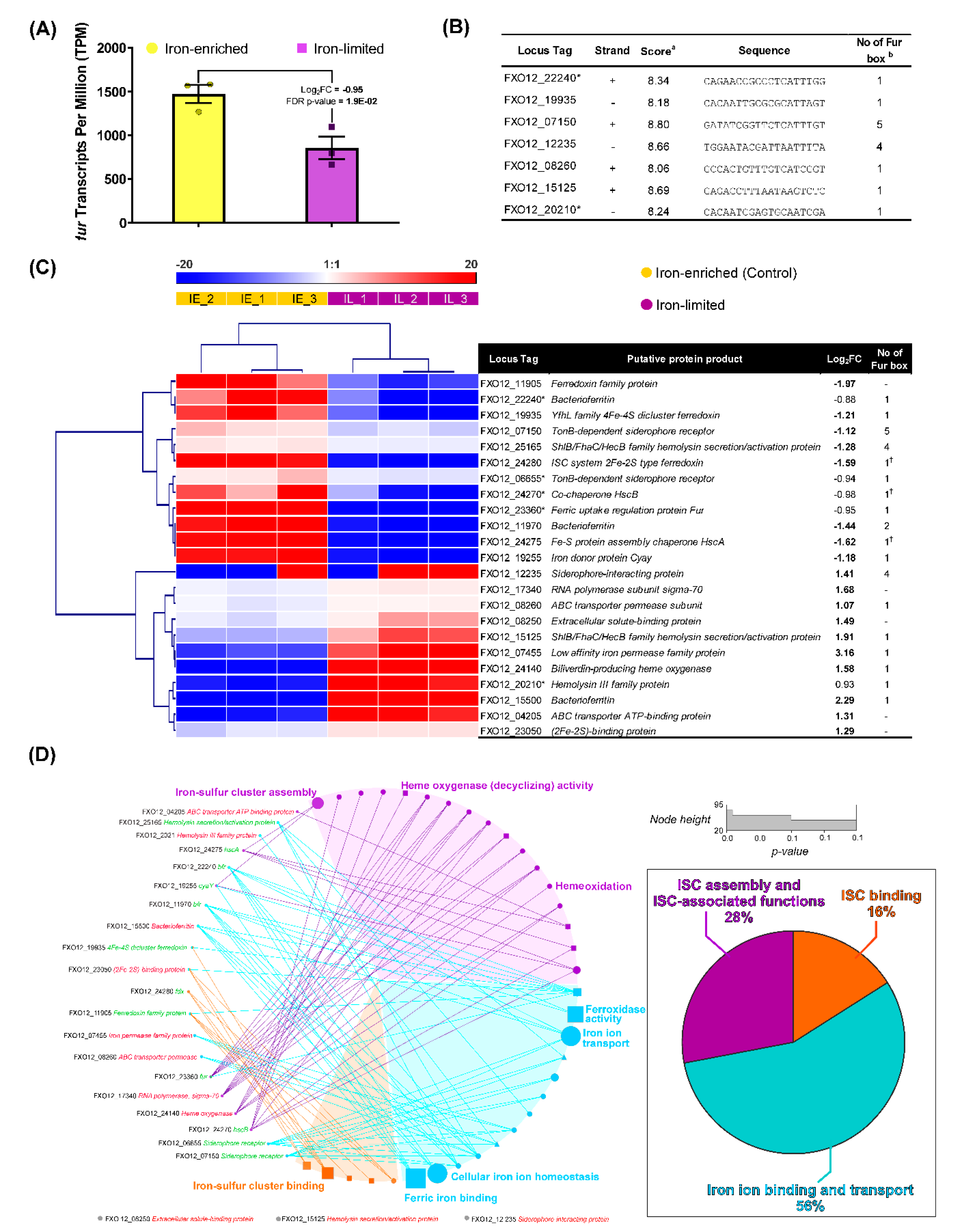 Microorganisms 09 00812 g008 Microorganisms 09 00812 g008